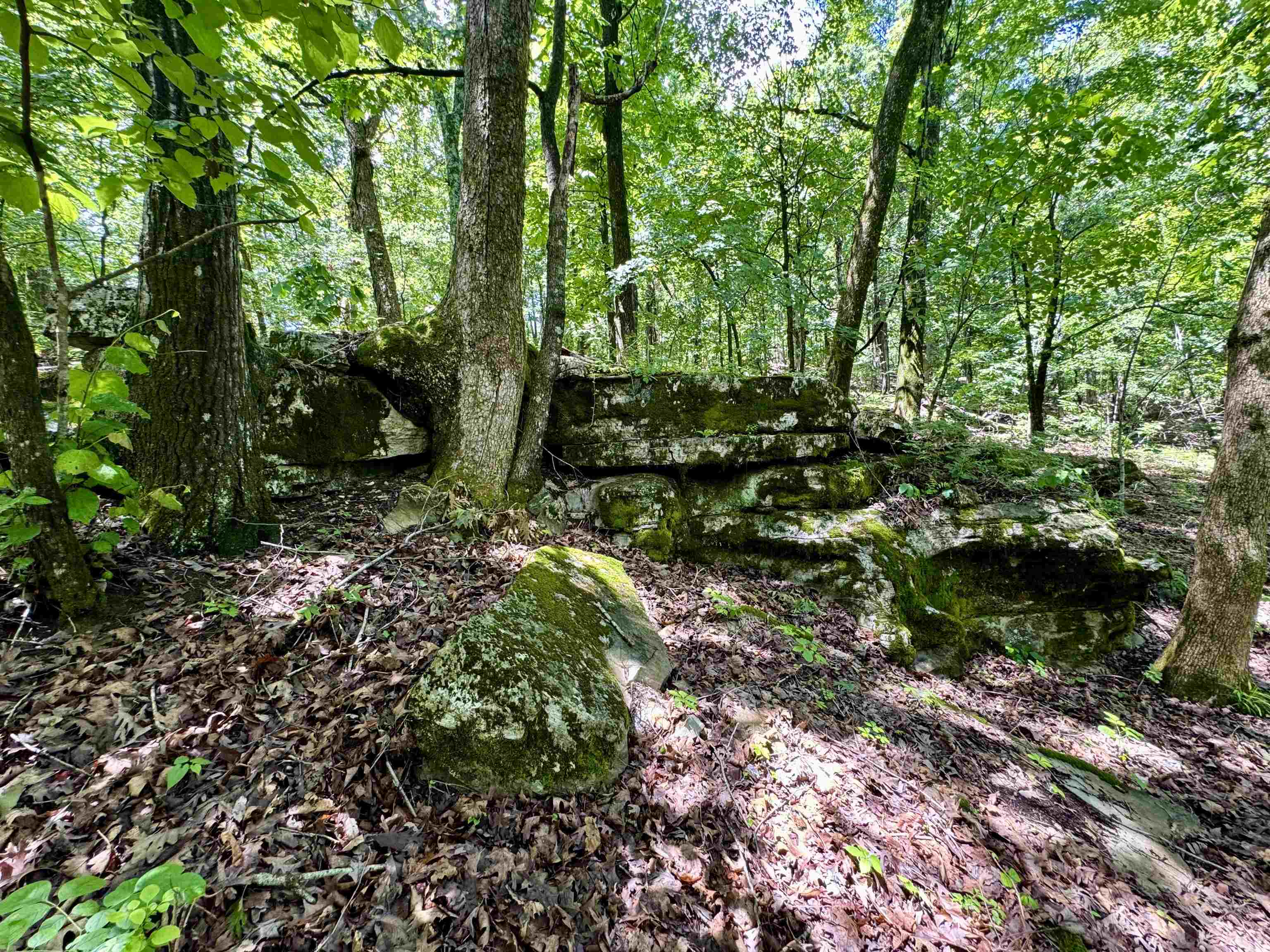 Photo 28 - Residential for sale – 11542 S AR HWY 9   Melbourne, AR