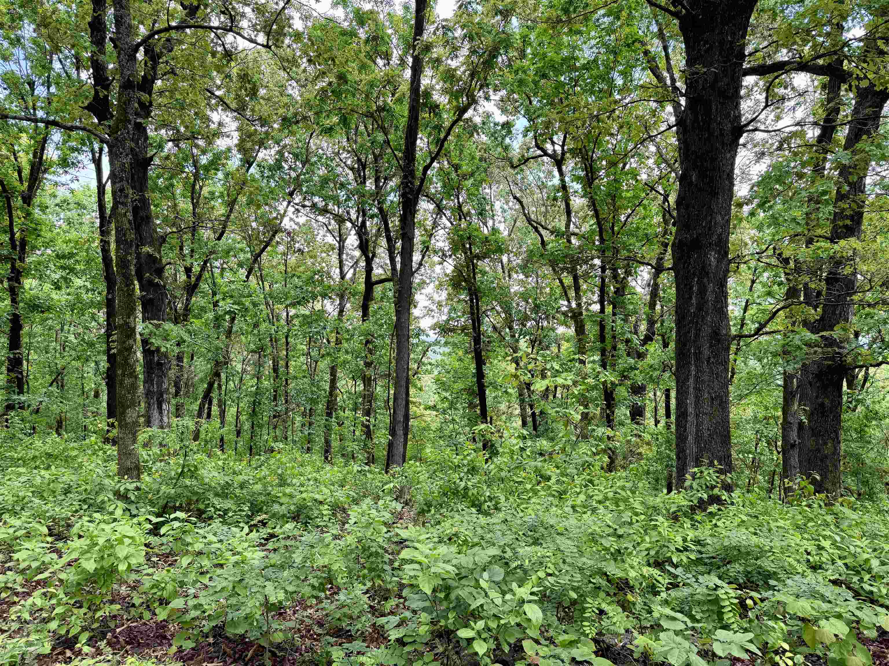 Photo 29 - Residential for sale – 11542 S AR HWY 9   Melbourne, AR