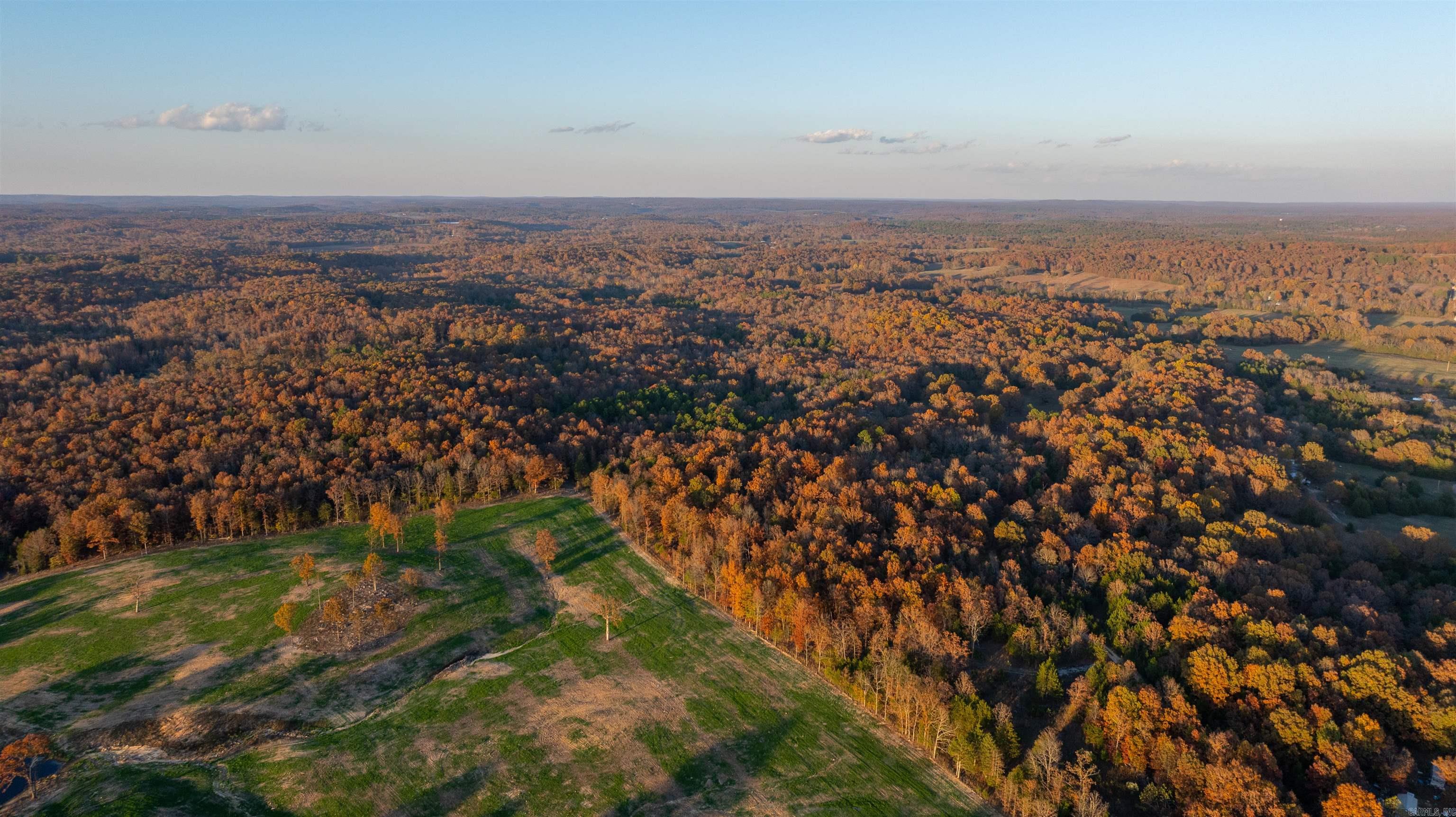 Photo 2 - Vacant Land for sale – 595  Needmore   Sidney, AR