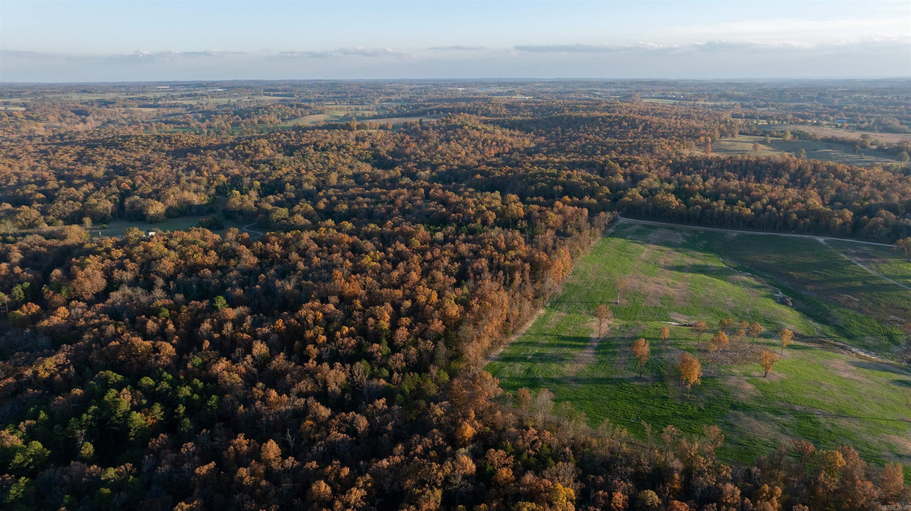 Photo 5 - Vacant Land for sale – 595  Needmore   Sidney, AR