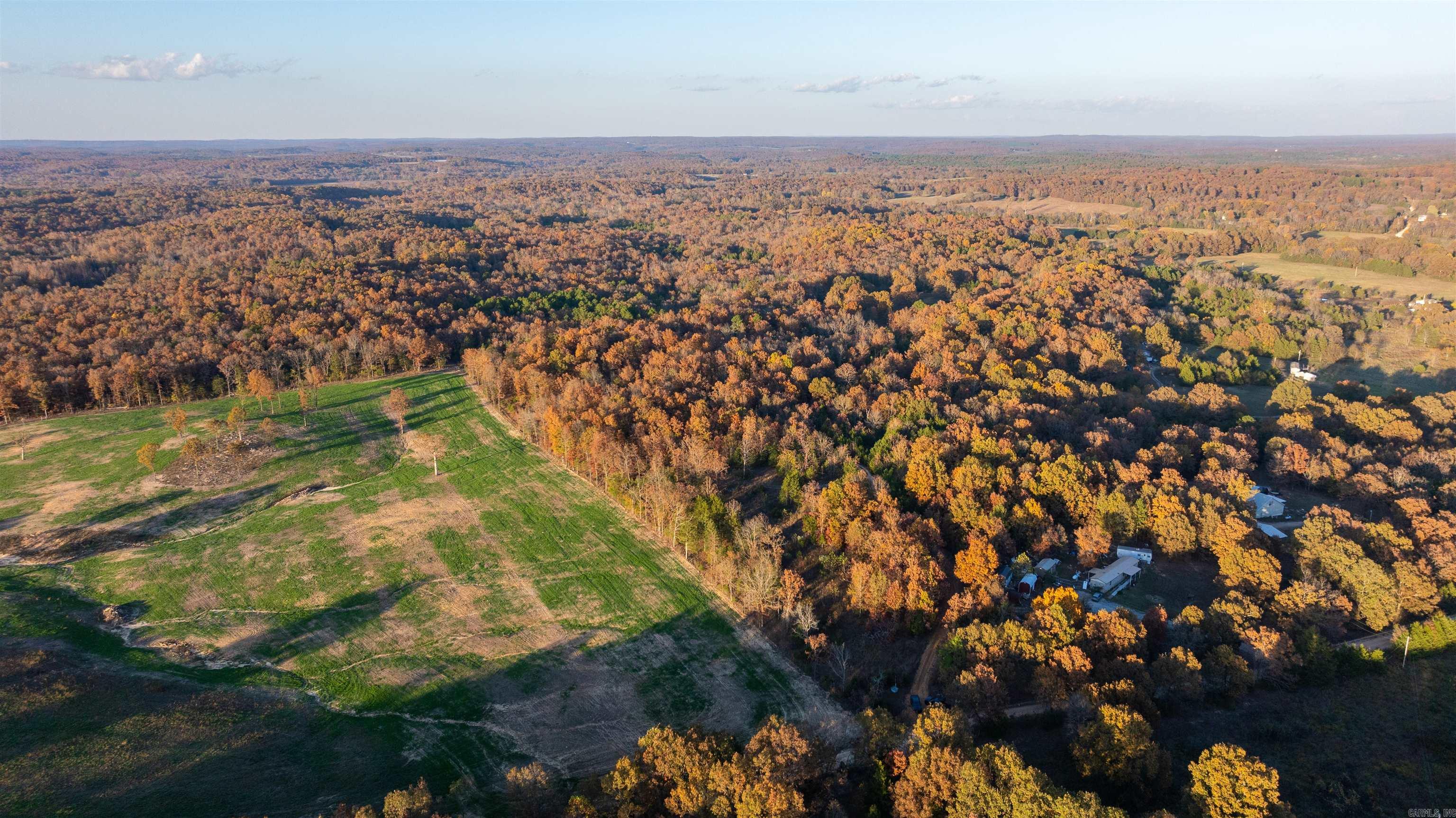 Photo 7 - Vacant Land for sale – 595  Needmore   Sidney, AR