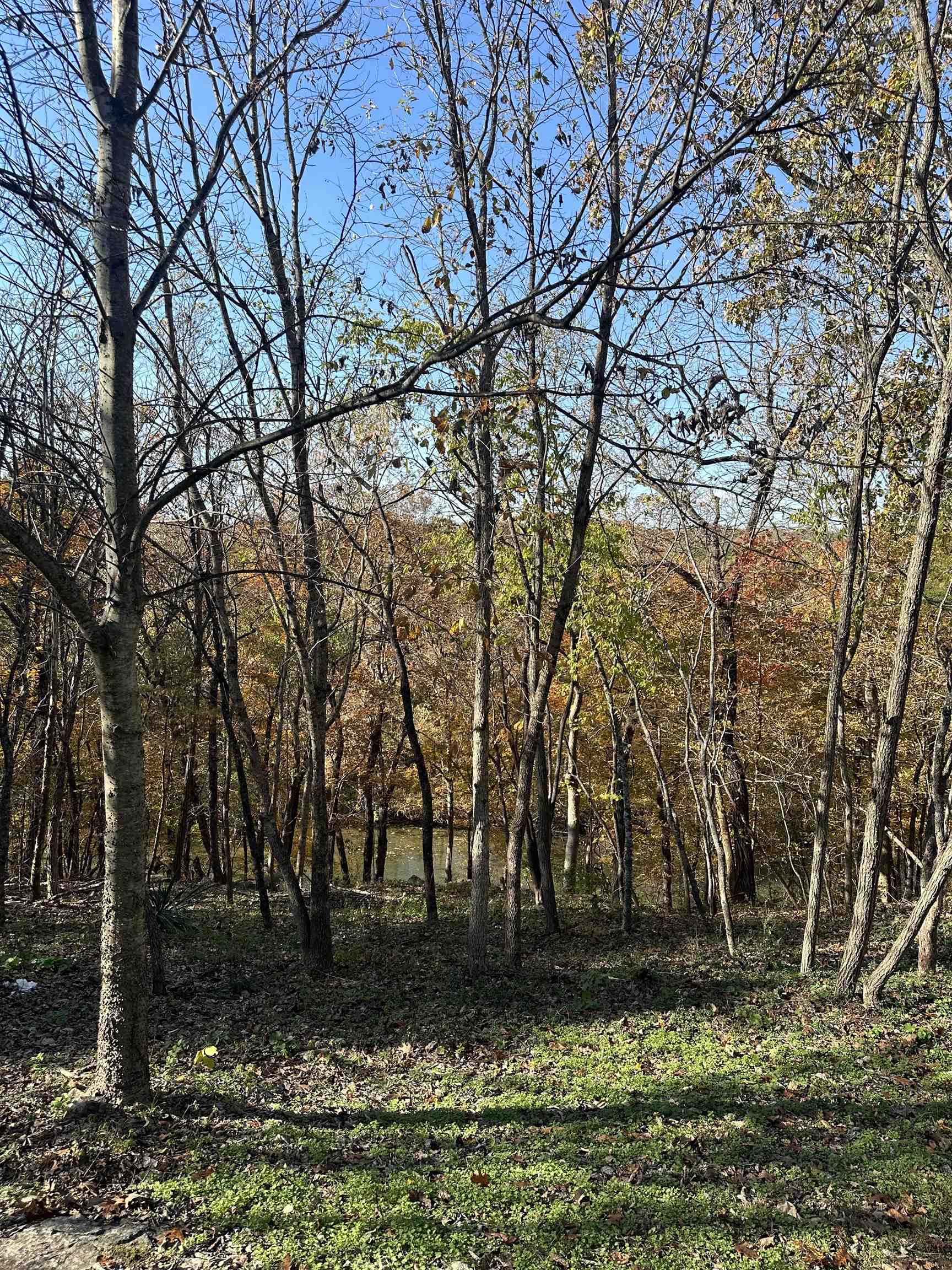 Photo 2 - Residential for sale – 100  Powhatan   Cherokee Village, AR