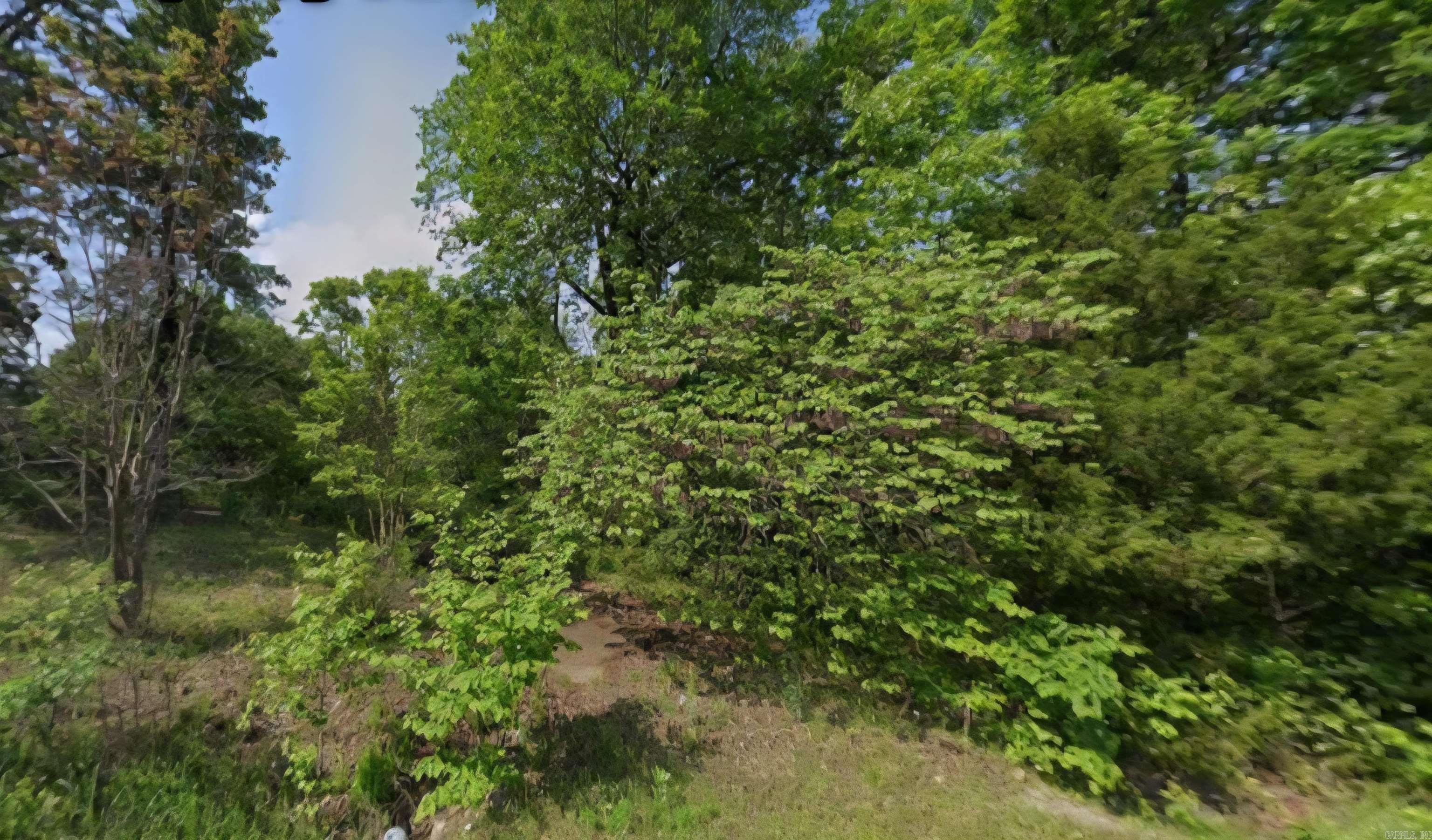 Photo 4 - Vacant Land for sale – 1206  Paradise Acres   Horseshoe Bend, AR