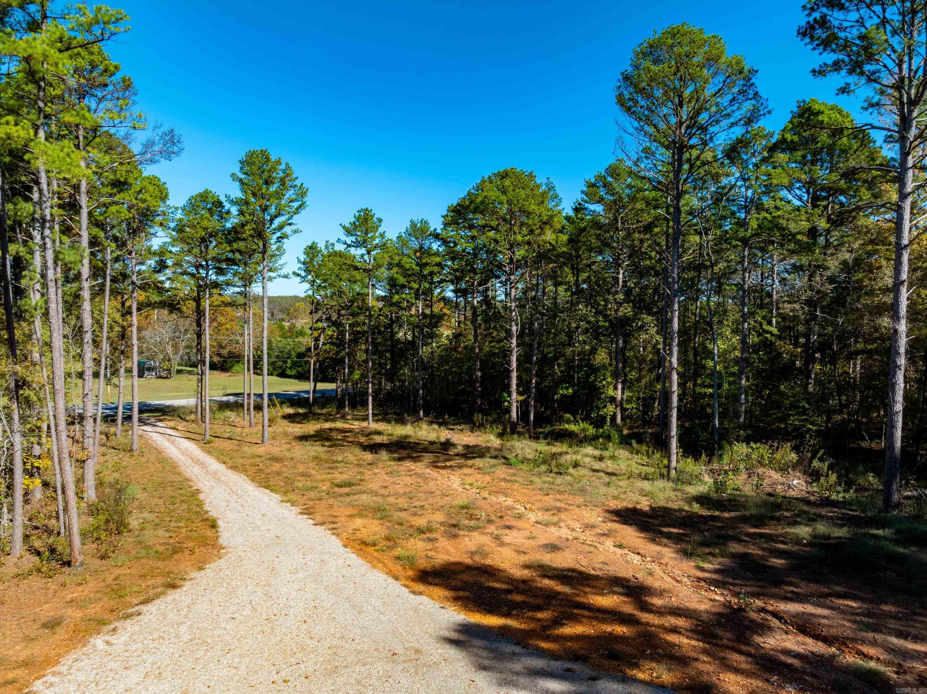 Photo 4 - Residential for sale – 3211  AR 56   Evening Shade, AR