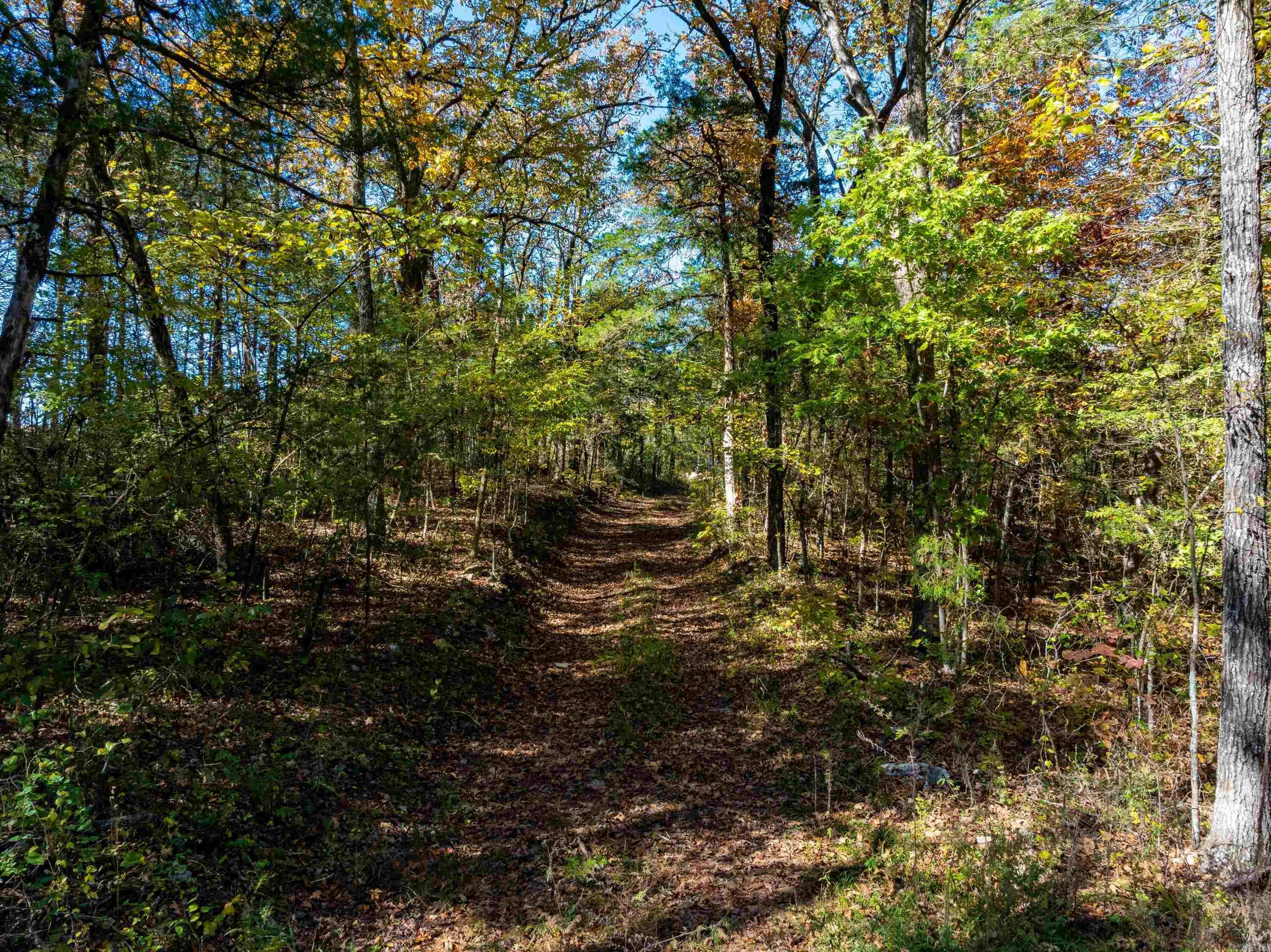 Photo 7 - Residential for sale – 3211  AR 56   Evening Shade, AR