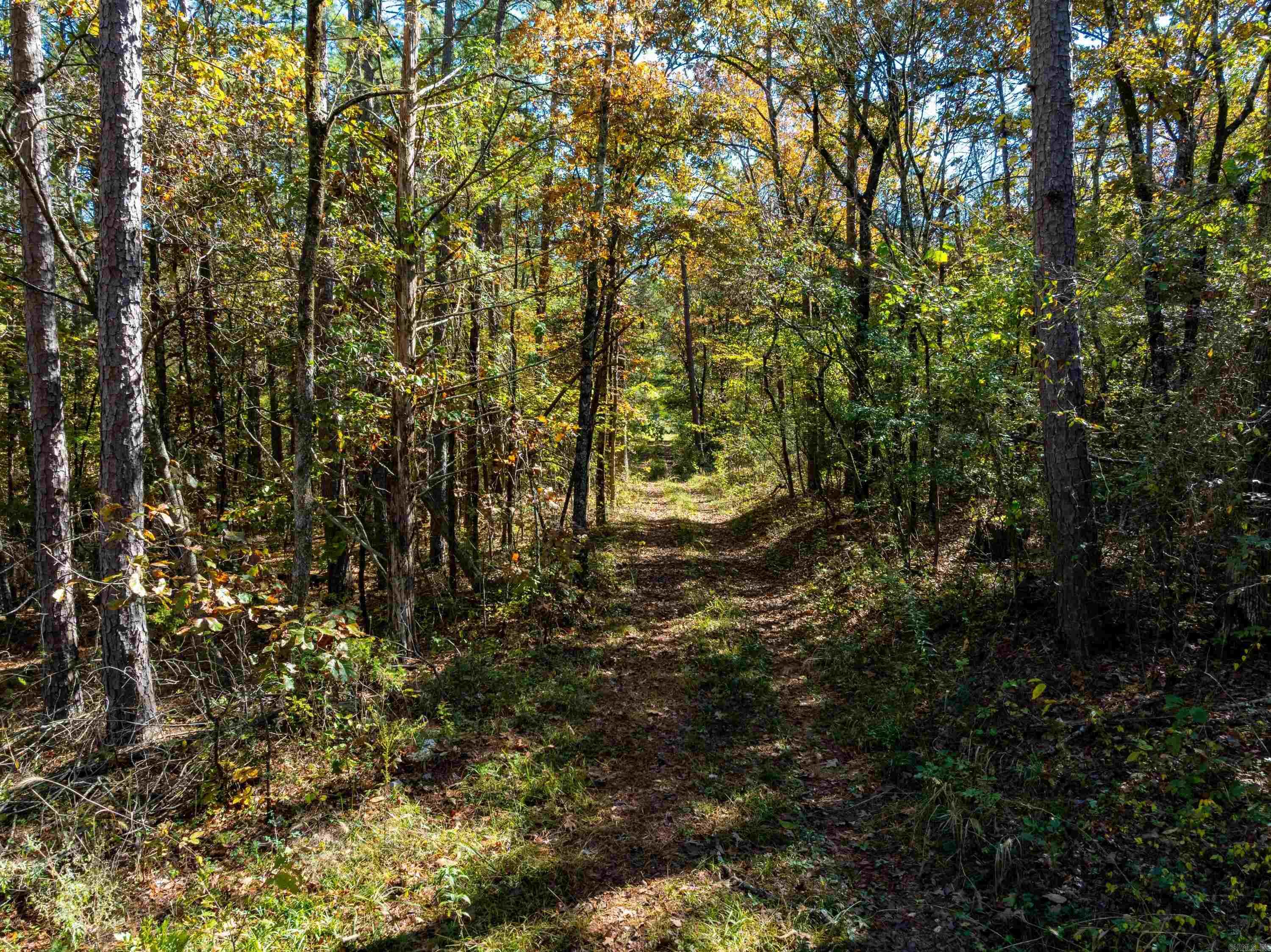 Photo 8 - Residential for sale – 3211  AR 56   Evening Shade, AR