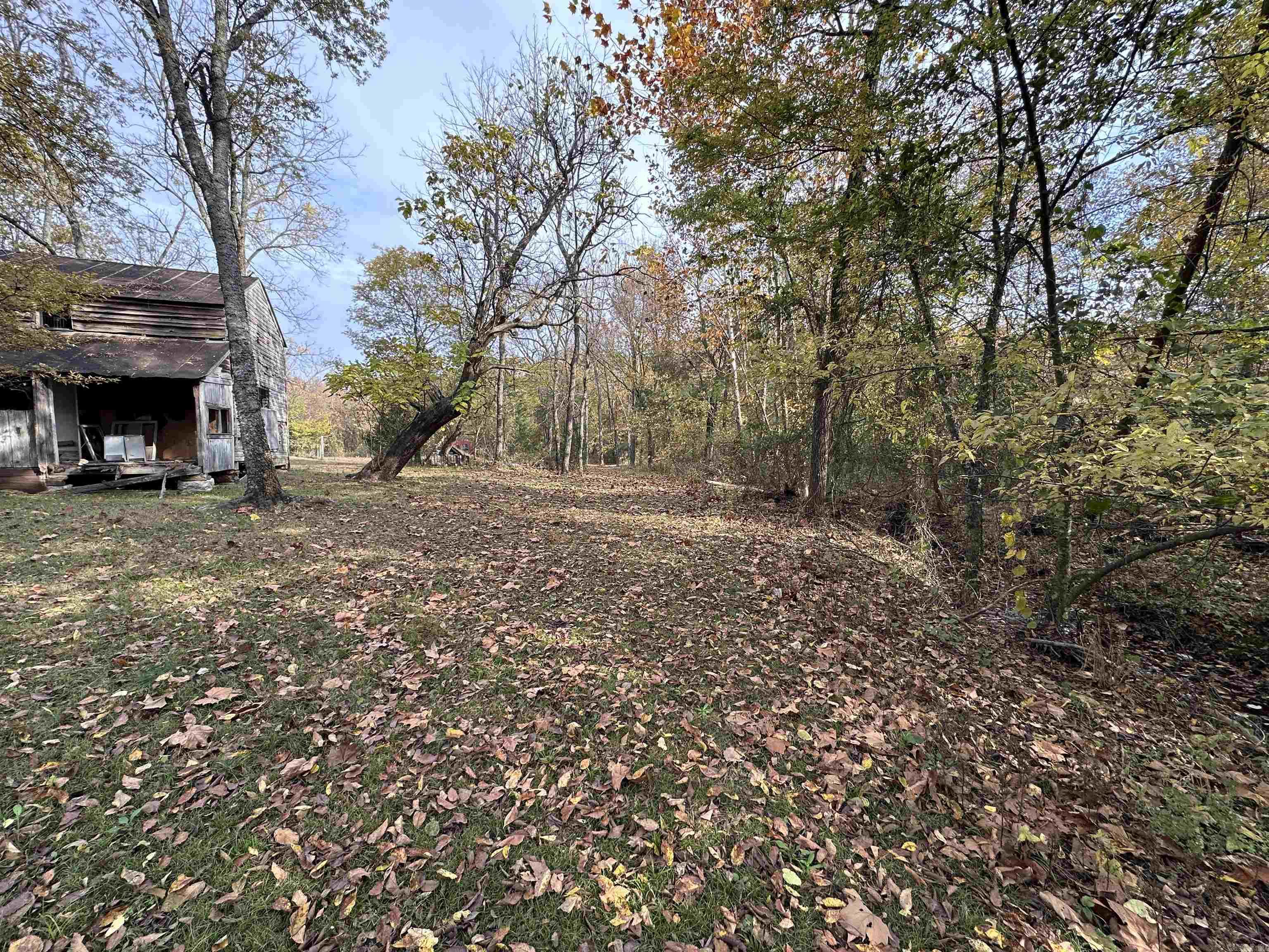 Photo 4 - Residential for sale – 900  Toad Pole Ln   Sidney, AR