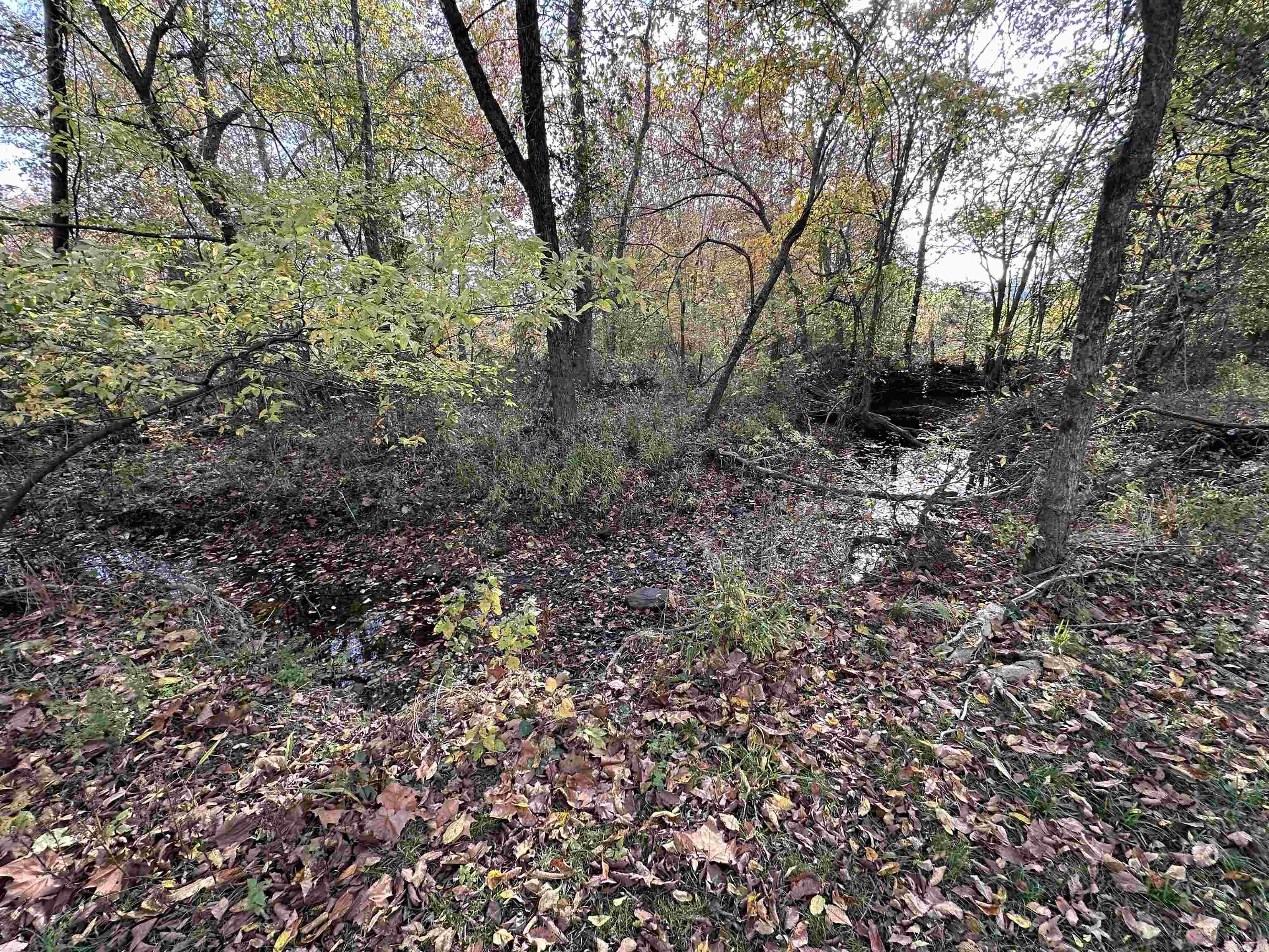 Photo 5 - Residential for sale – 900  Toad Pole Ln   Sidney, AR