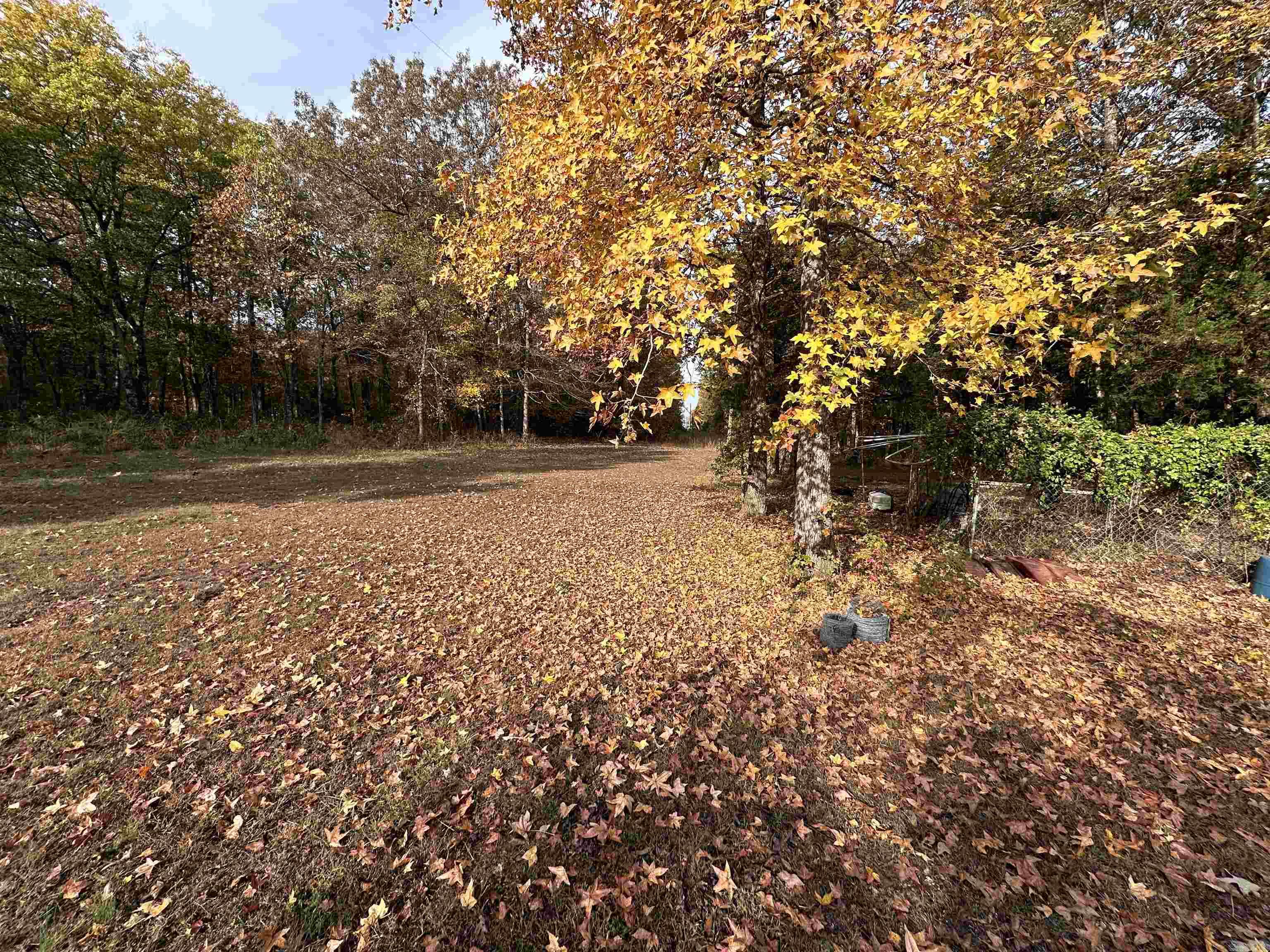 Photo 8 - Residential for sale – 900  Toad Pole Ln   Sidney, AR