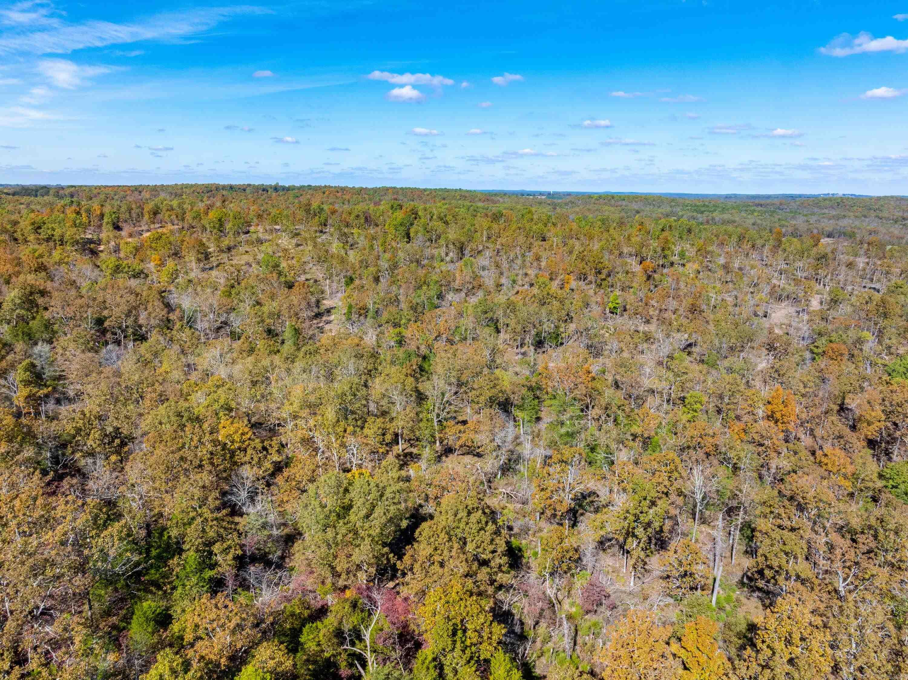 Photo 18 - Vacant Land for sale –   Easy K Rd   Franklin, AR