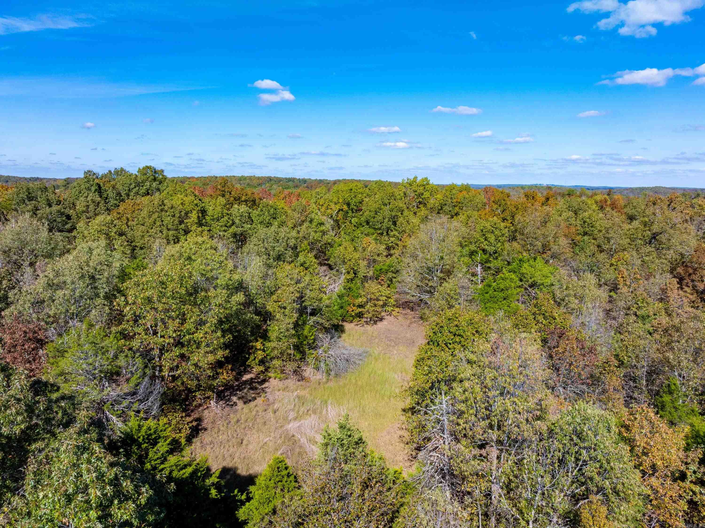 Photo 19 - Vacant Land for sale –   Easy K Rd   Franklin, AR