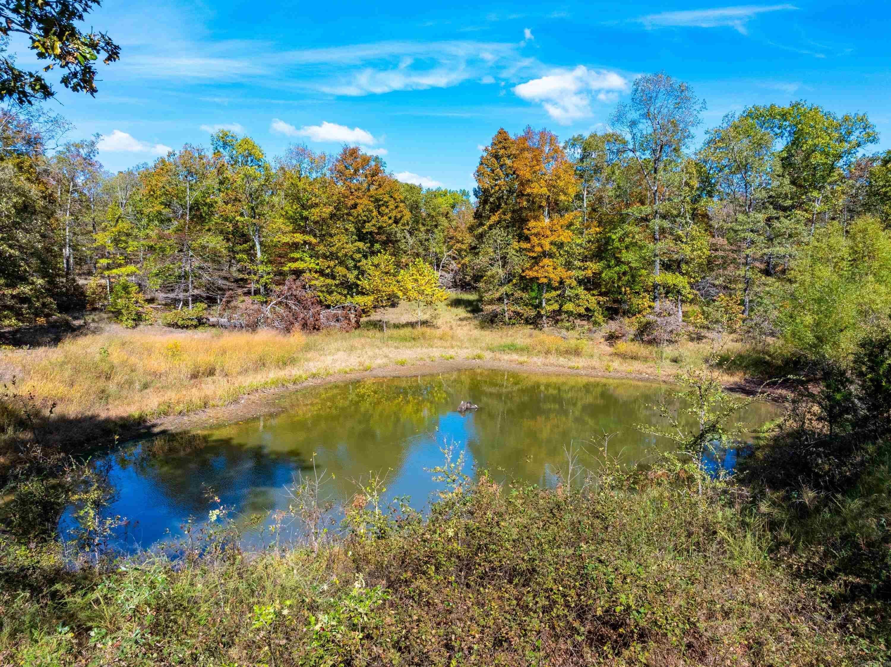 Photo 3 - Vacant Land for sale –   Easy K Rd   Franklin, AR