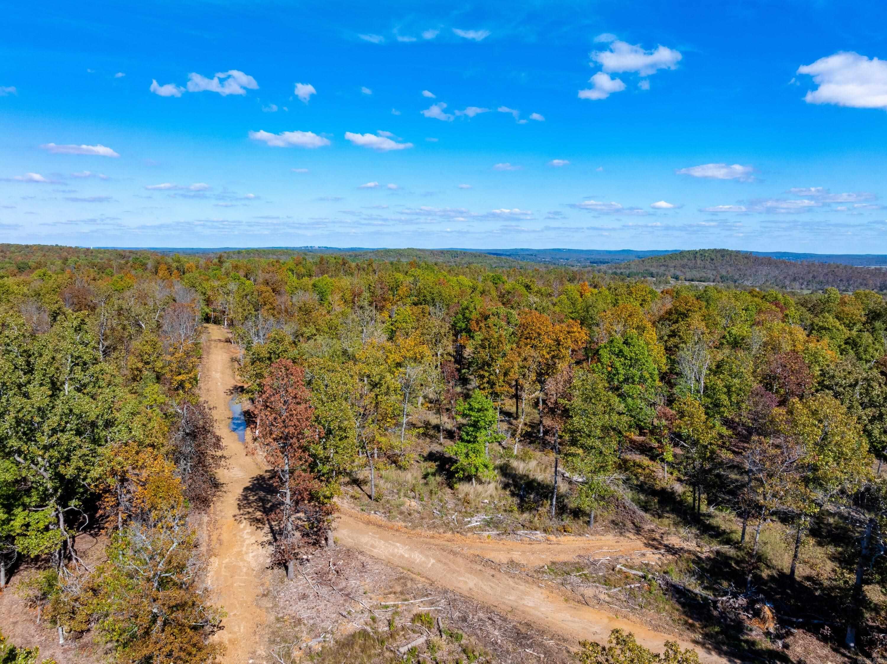 Photo 4 - Vacant Land for sale –   Easy K Rd   Franklin, AR