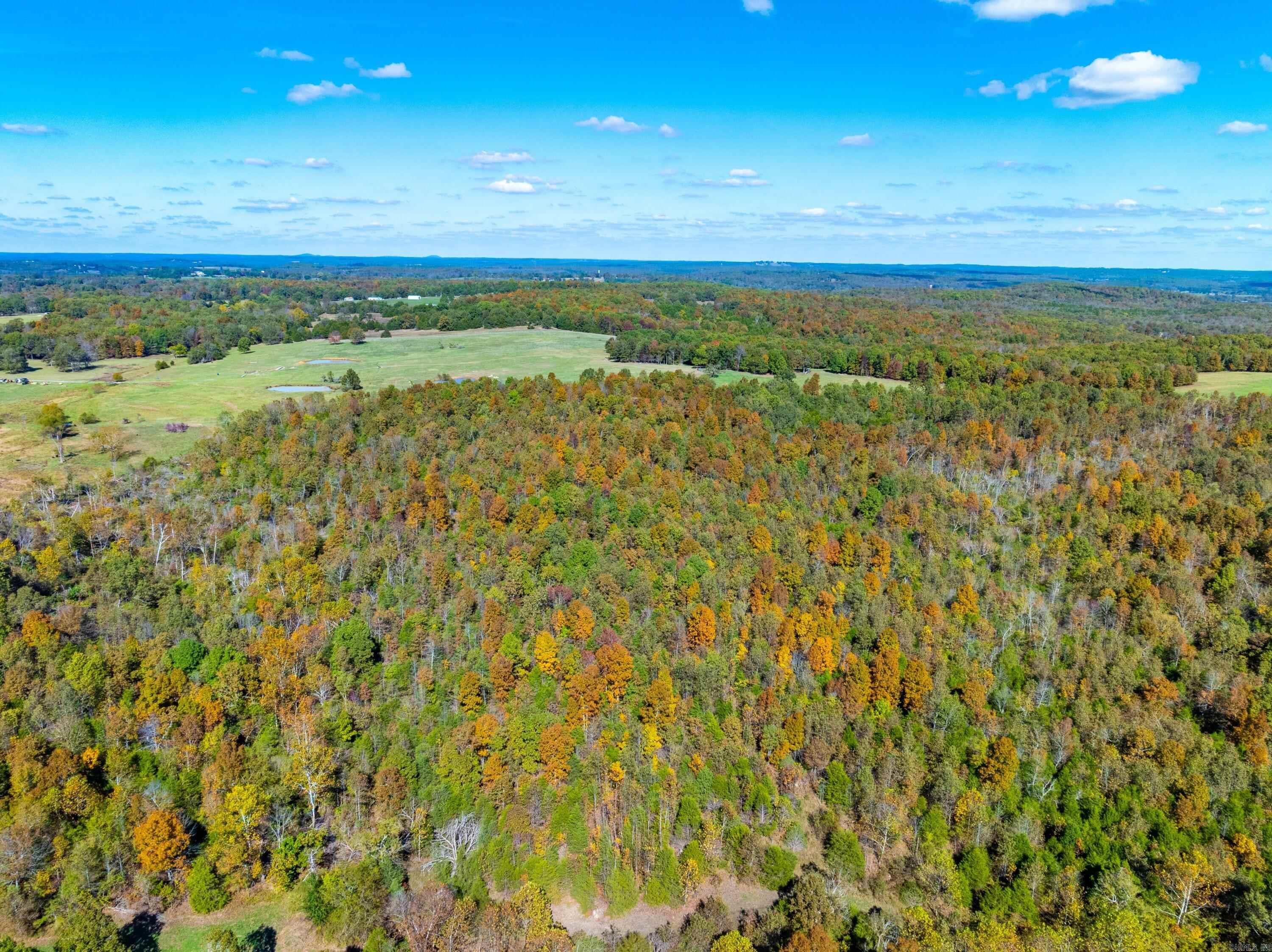 Photo 6 - Vacant Land for sale –   Easy K Rd   Franklin, AR