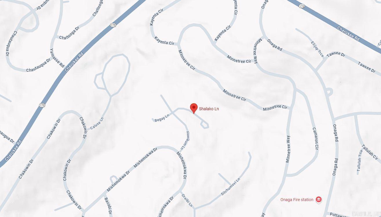 Photo 3 - Vacant Land for sale – Lot 1  Shalako   Cherokee Village, AR