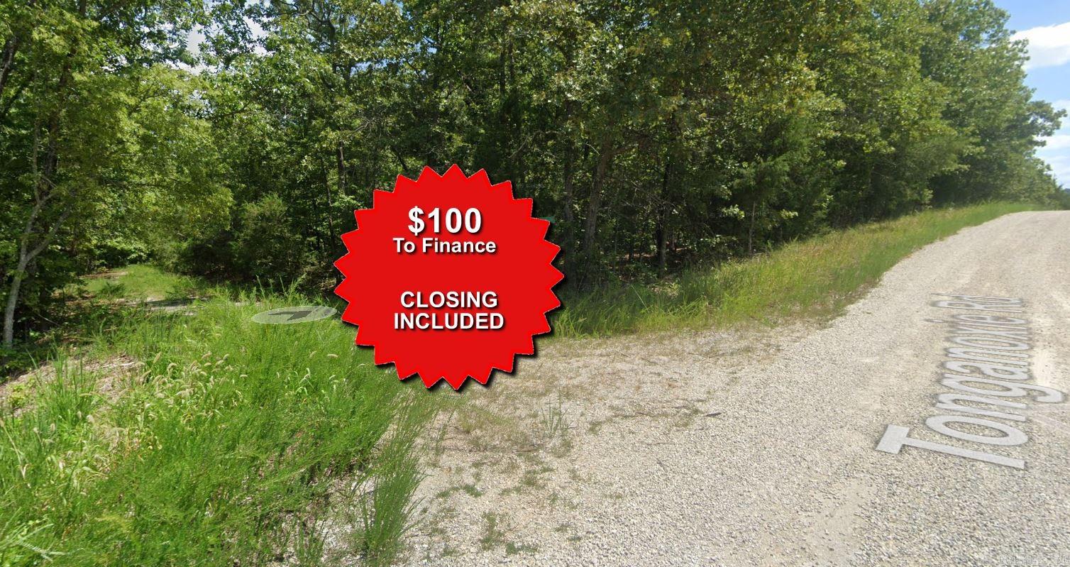 Vacant Land for sale – Lot 13  Saponi   Cherokee Village, AR