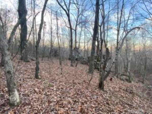 Photo 2 - Vacant Land for sale –   Whiskey Creek   Batesville, AR