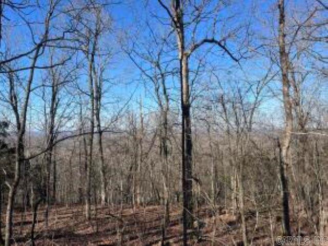 Photo 11 - Vacant Land for sale –   Whiskey Creek   Batesville, AR