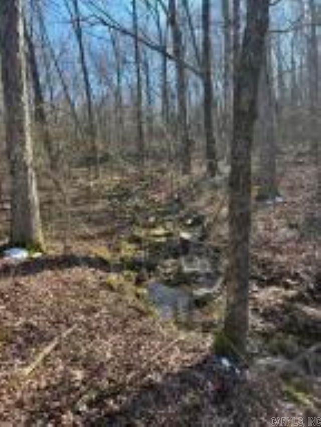 Photo 13 - Vacant Land for sale –   Whiskey Creek   Batesville, AR