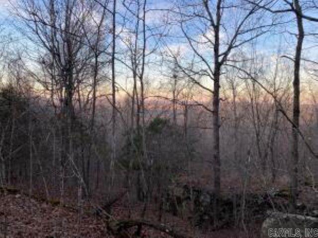 Photo 3 - Vacant Land for sale –   Whiskey Creek   Batesville, AR