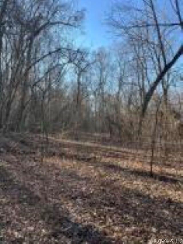 Photo 4 - Vacant Land for sale –   Whiskey Creek   Batesville, AR
