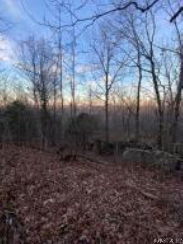 Photo 5 - Vacant Land for sale –   Whiskey Creek   Batesville, AR
