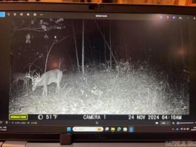 Photo 6 - Vacant Land for sale –   Whiskey Creek   Batesville, AR