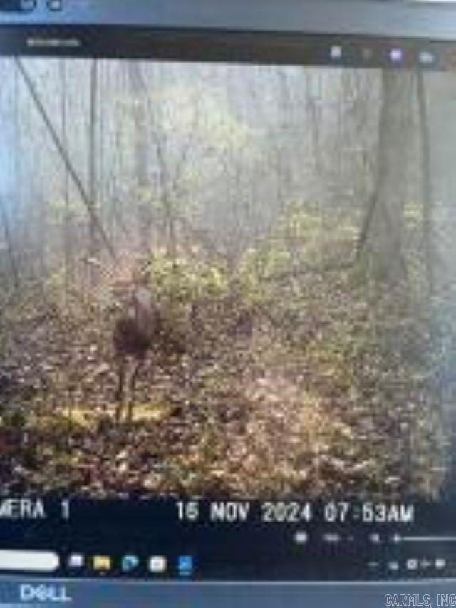 Photo 7 - Vacant Land for sale –   Whiskey Creek   Batesville, AR