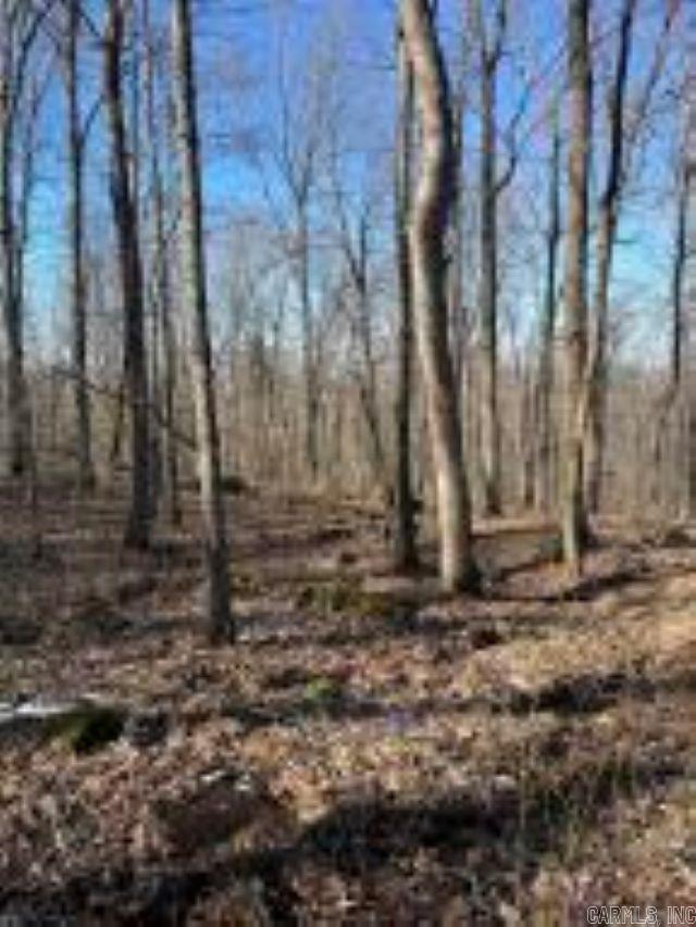 Photo 8 - Vacant Land for sale –   Whiskey Creek   Batesville, AR