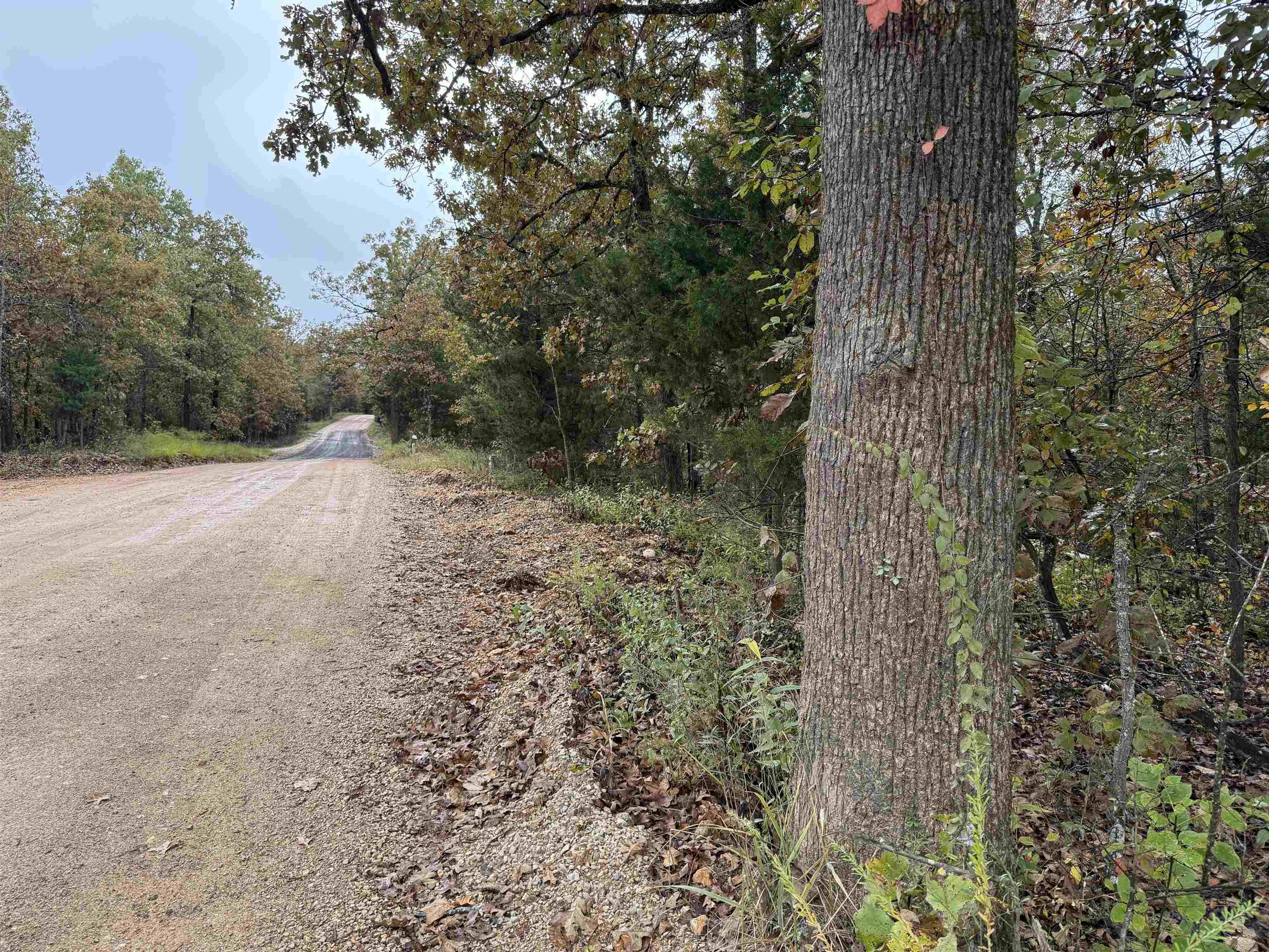 Photo 2 - Vacant Land for sale – TBD  Russell Road   Hardy, AR
