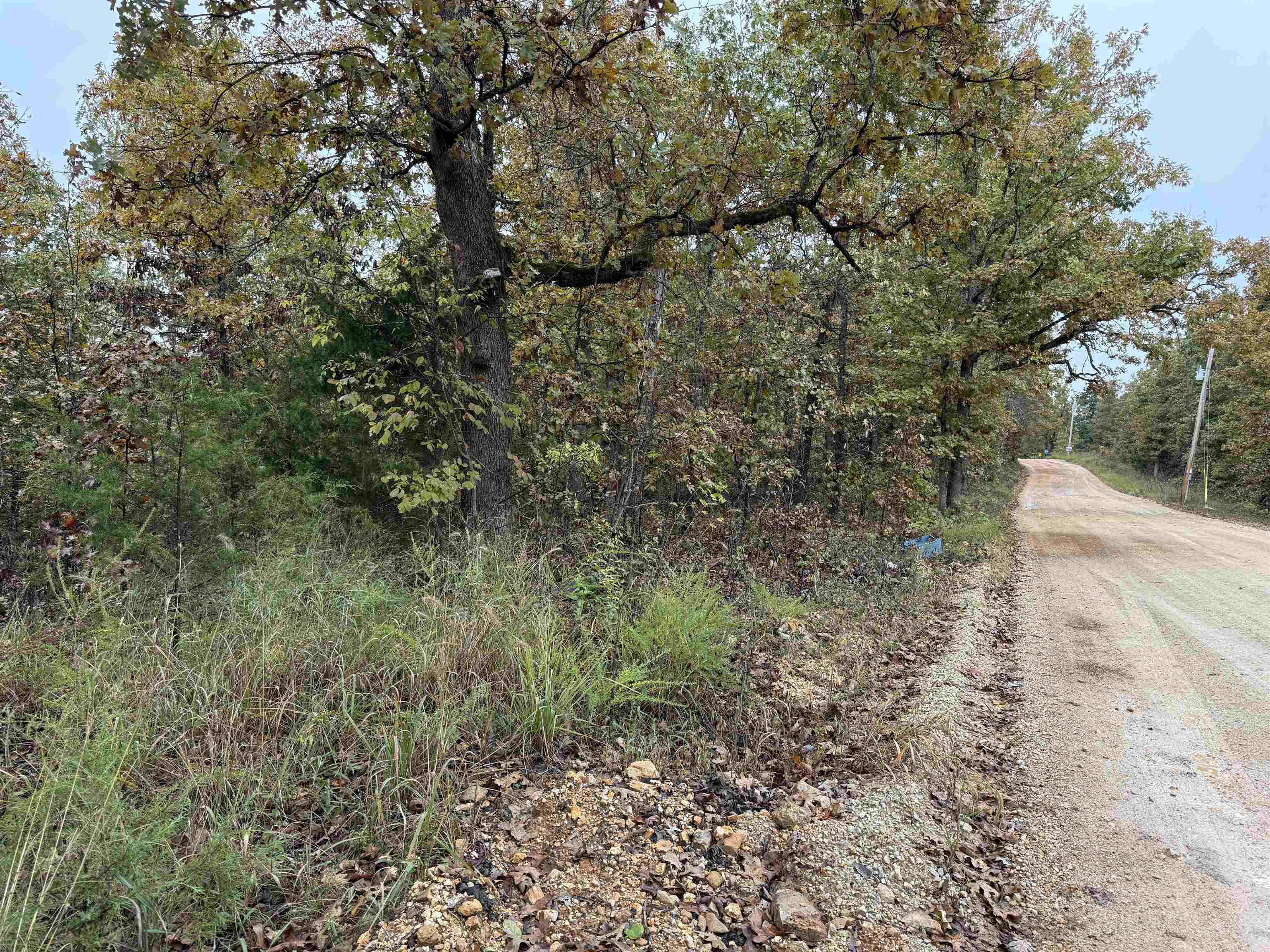 Photo 7 - Vacant Land for sale – TBD  Russell Road   Hardy, AR