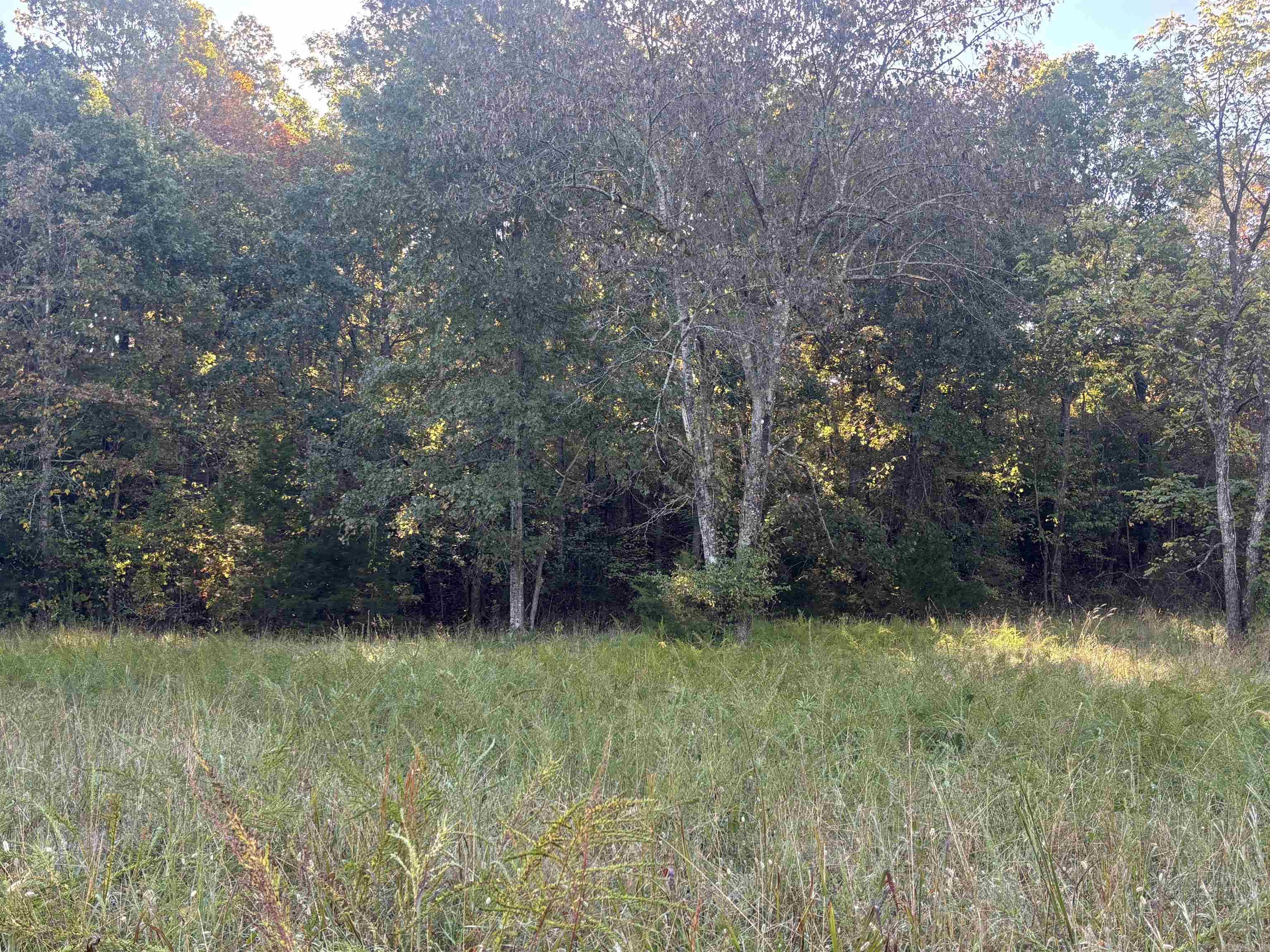 Photo 11 - Vacant Land for sale – 000  Timbercrest Road   Viola, AR