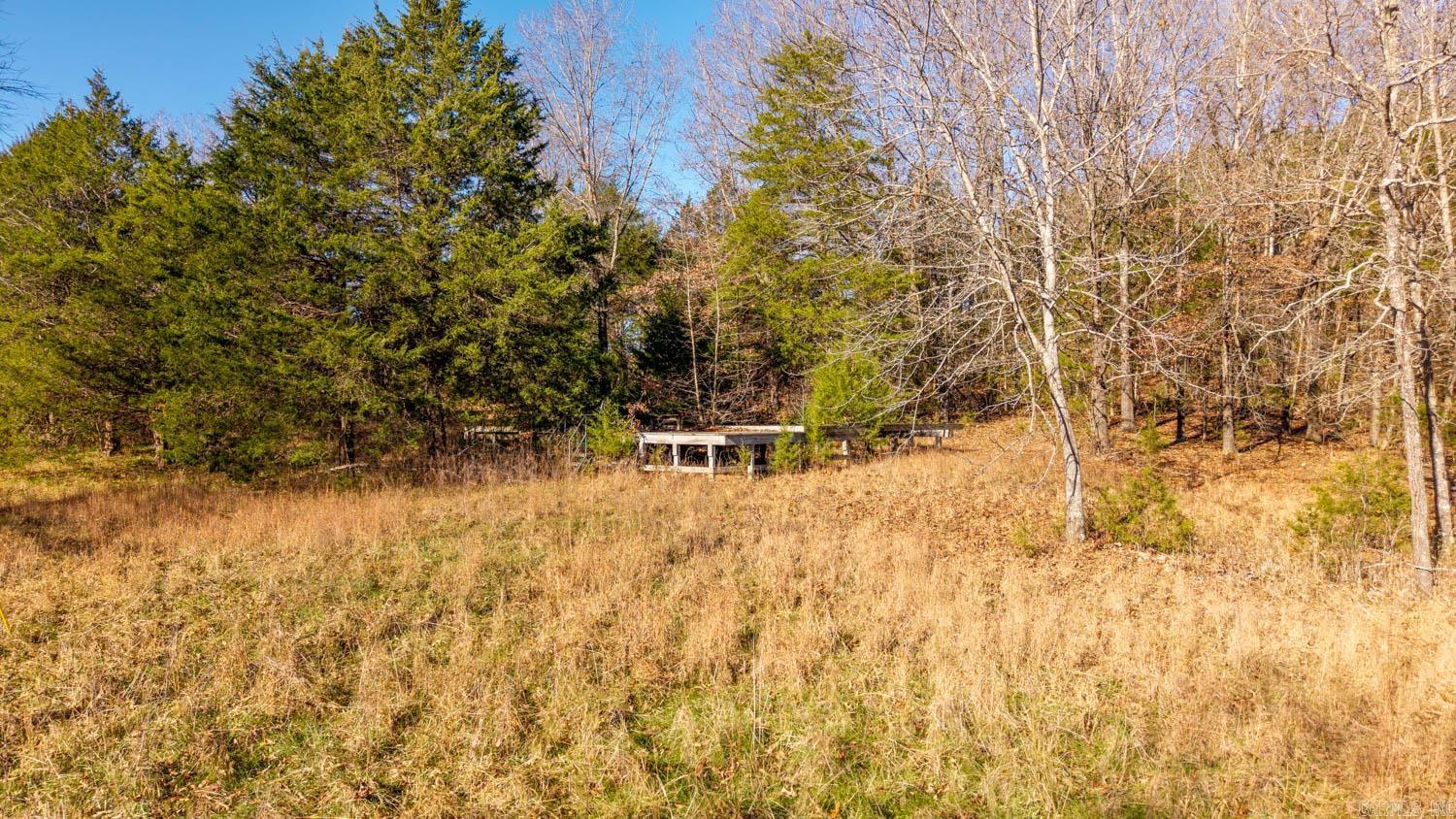 Photo 11 - Vacant Land for sale – 000  Timbercrest Road   Viola, AR