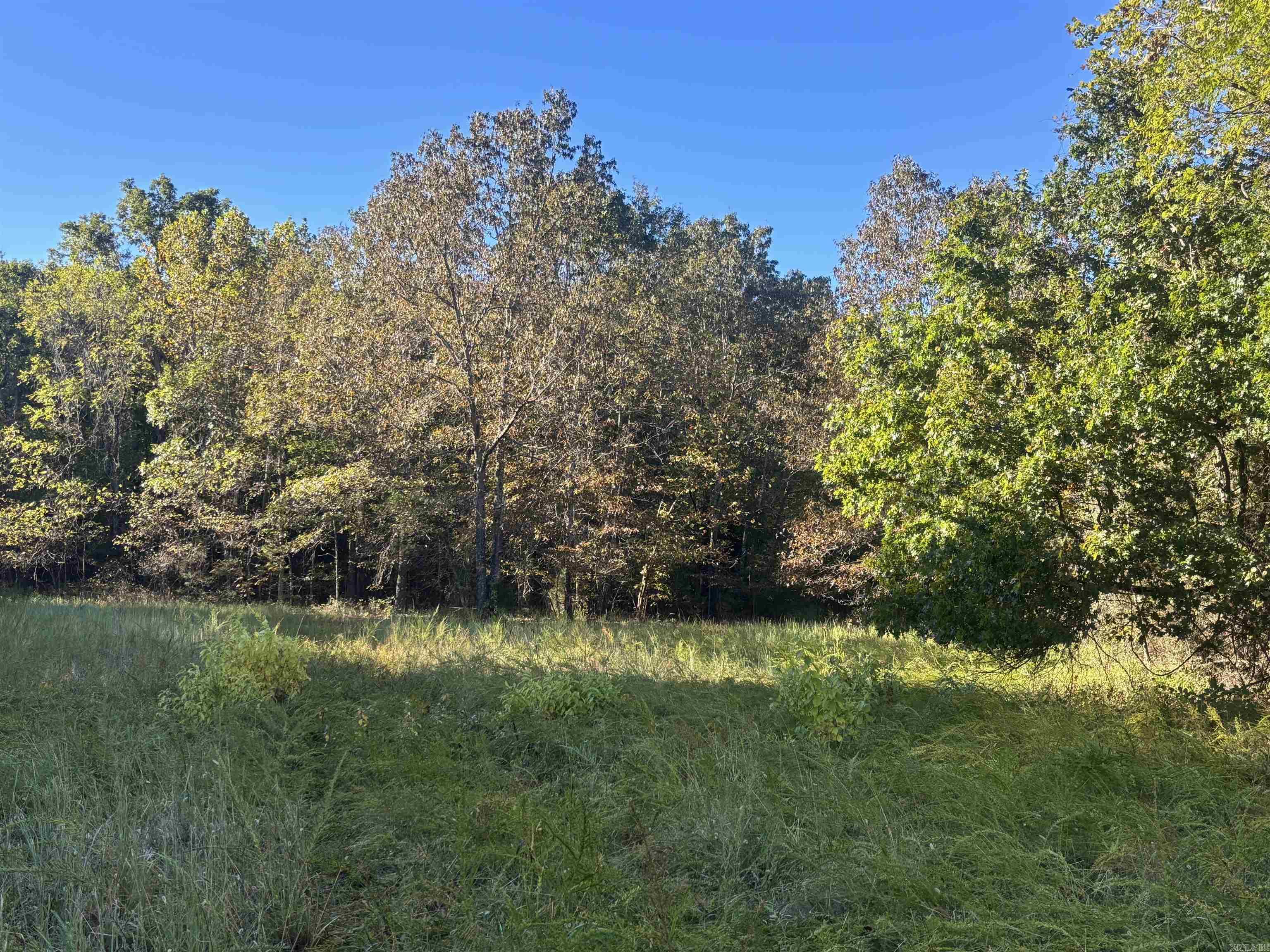 Photo 12 - Vacant Land for sale – 000  Timbercrest Road   Viola, AR