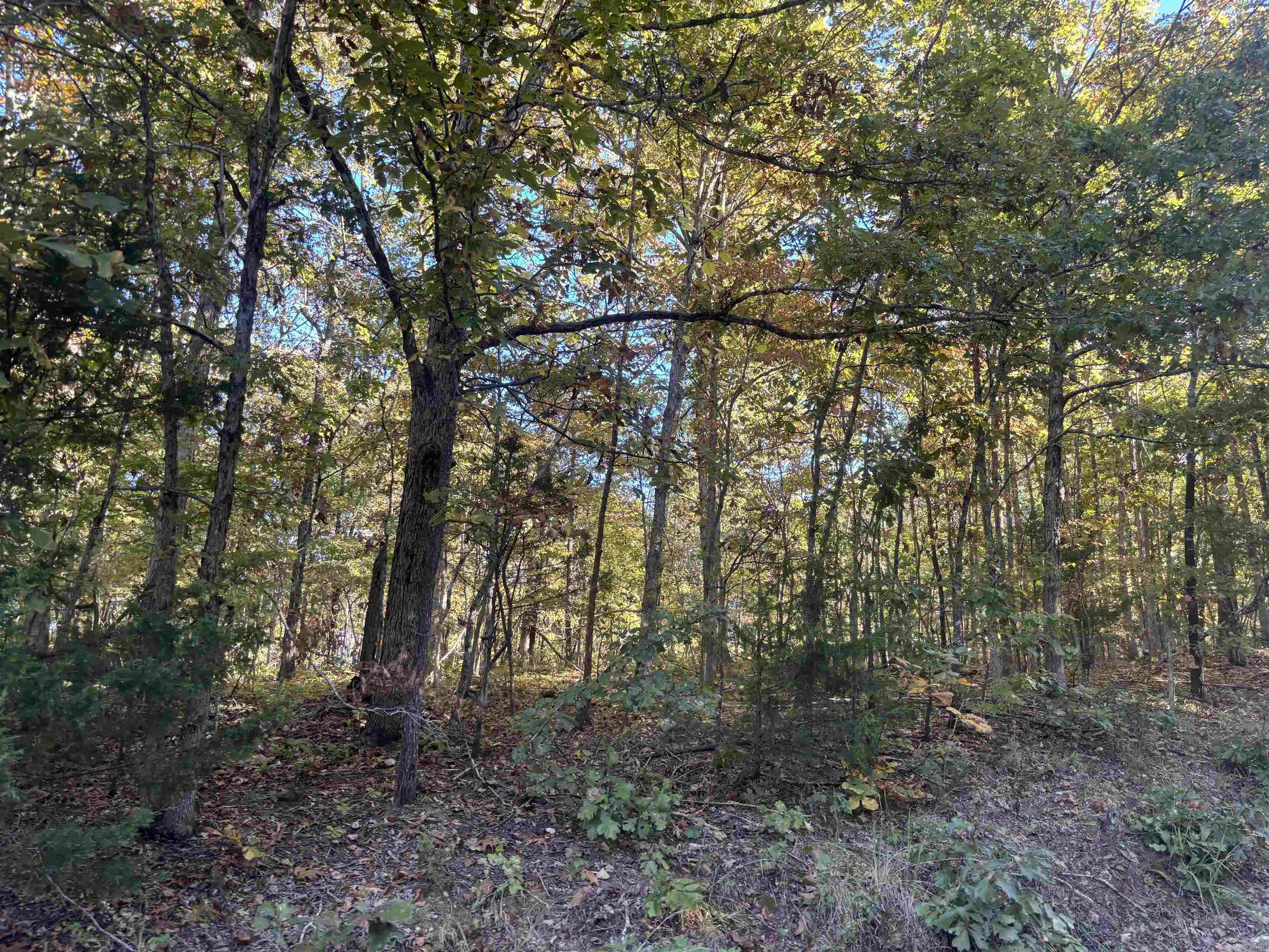 Photo 13 - Vacant Land for sale – 000  Timbercrest Road   Viola, AR