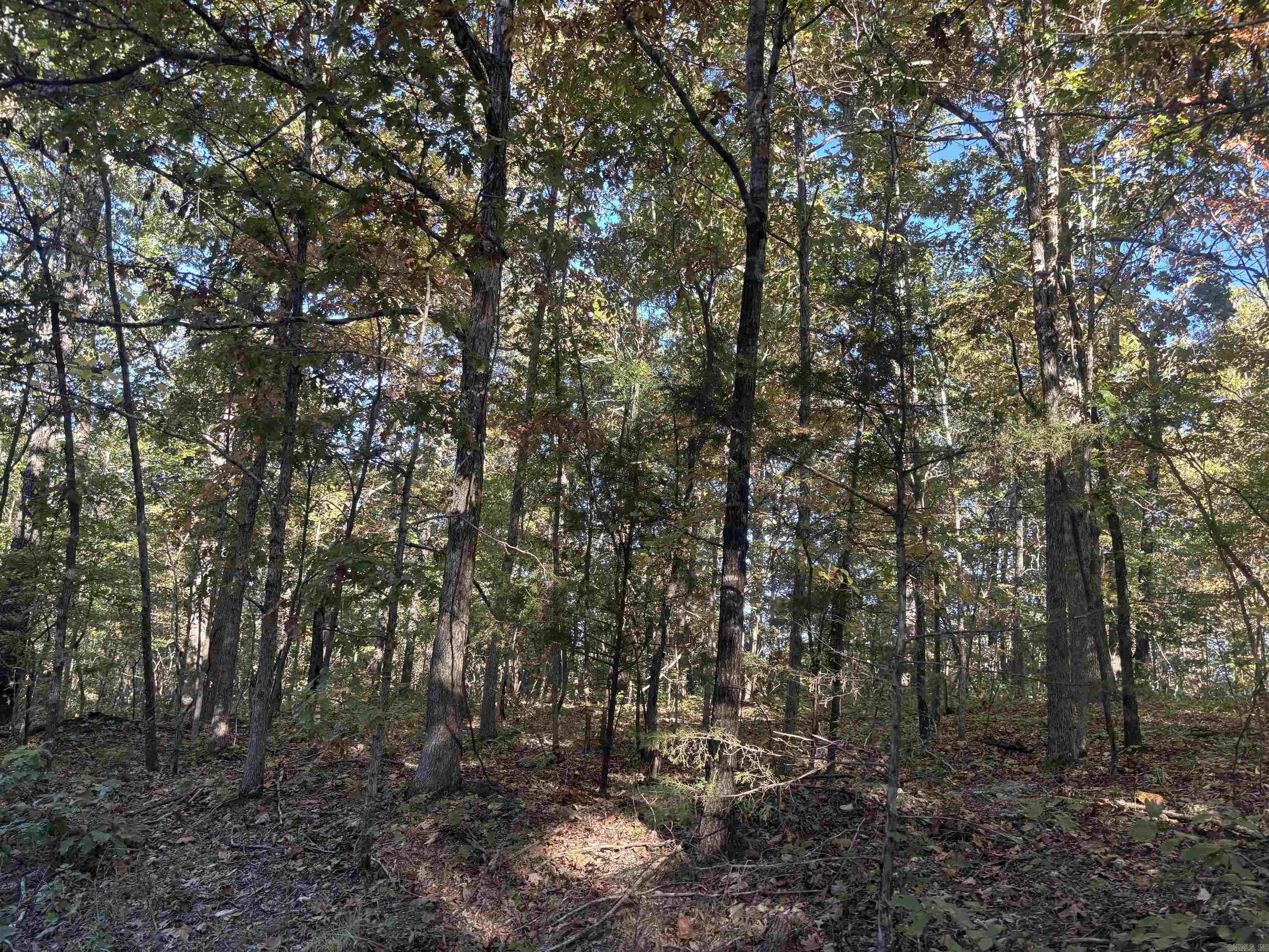 Photo 14 - Vacant Land for sale – 000  Timbercrest Road   Viola, AR