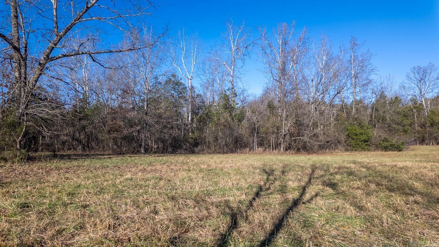 Photo 16 - Vacant Land for sale – 000  Timbercrest Road   Viola, AR