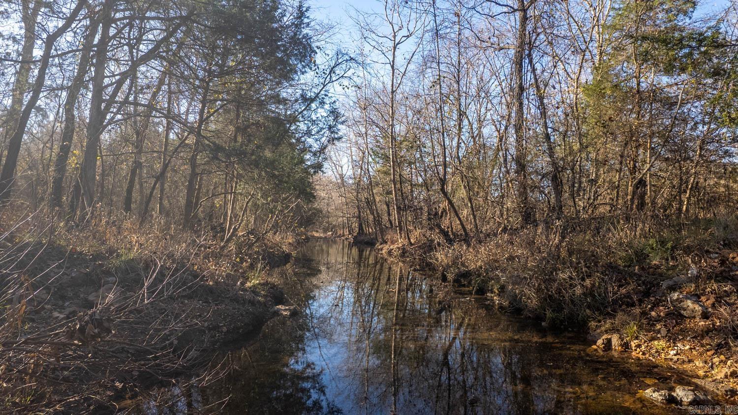 Photo 3 - Vacant Land for sale – 000  Timbercrest Road   Viola, AR