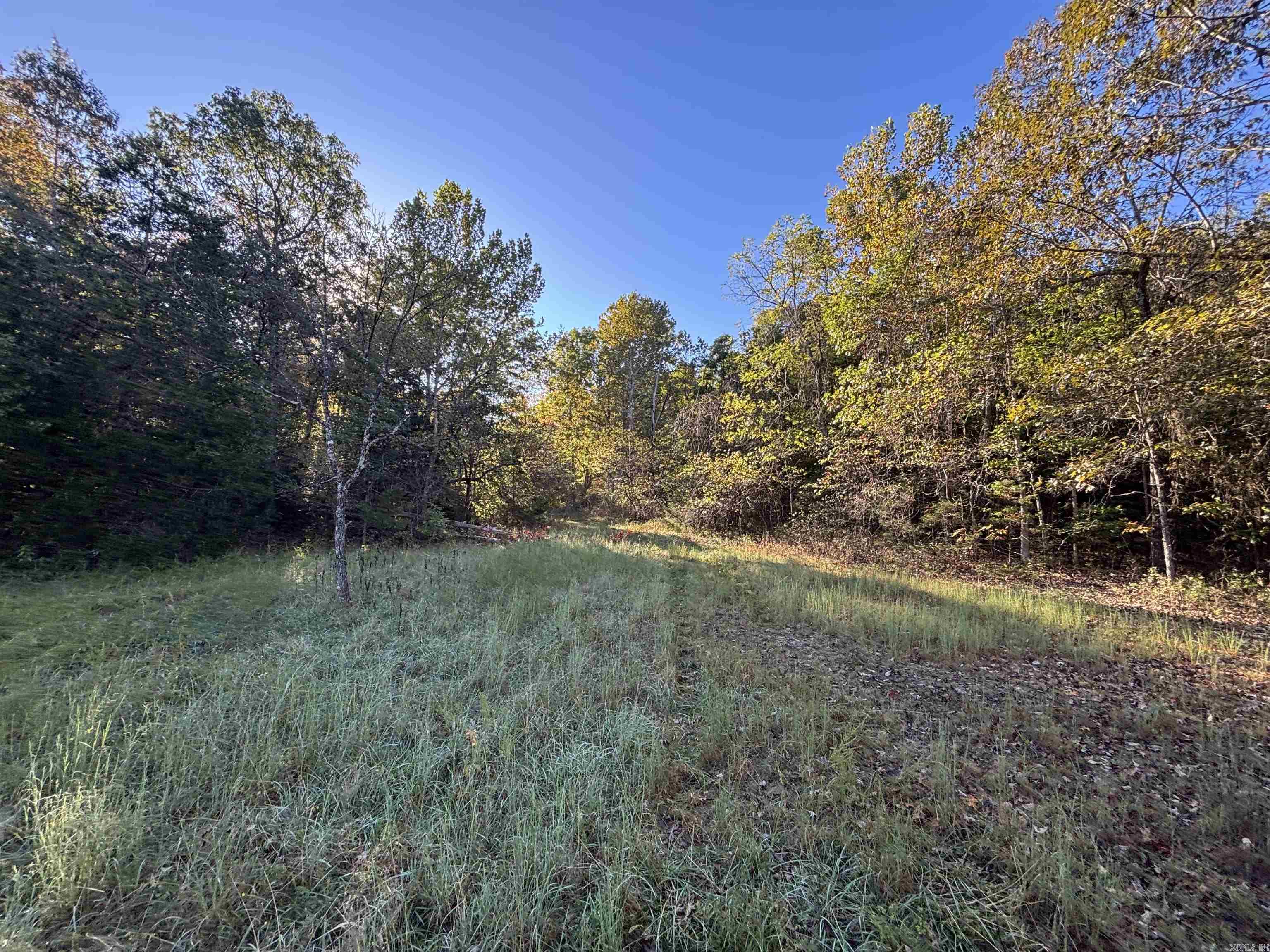 Photo 3 - Vacant Land for sale – 000  Timbercrest Road   Viola, AR