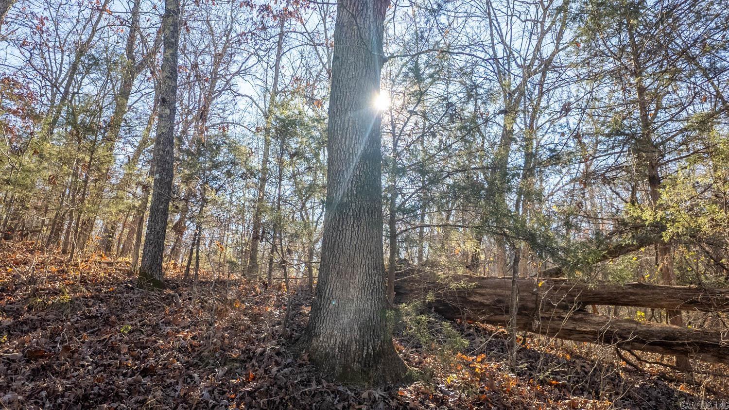 Photo 25 - Vacant Land for sale – 000  Timbercrest Road   Viola, AR