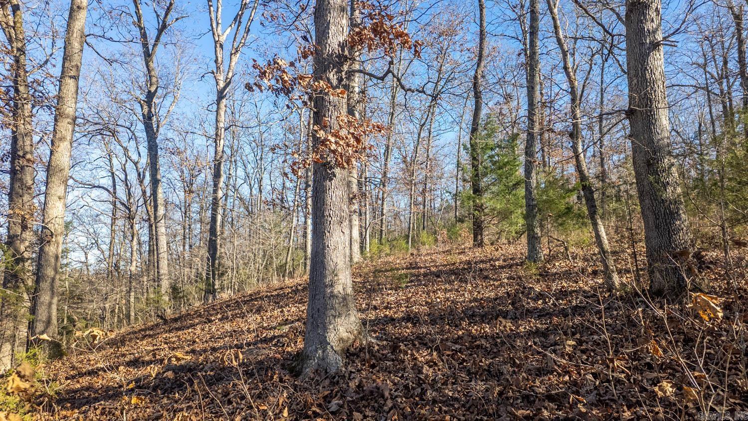 Photo 26 - Vacant Land for sale – 000  Timbercrest Road   Viola, AR