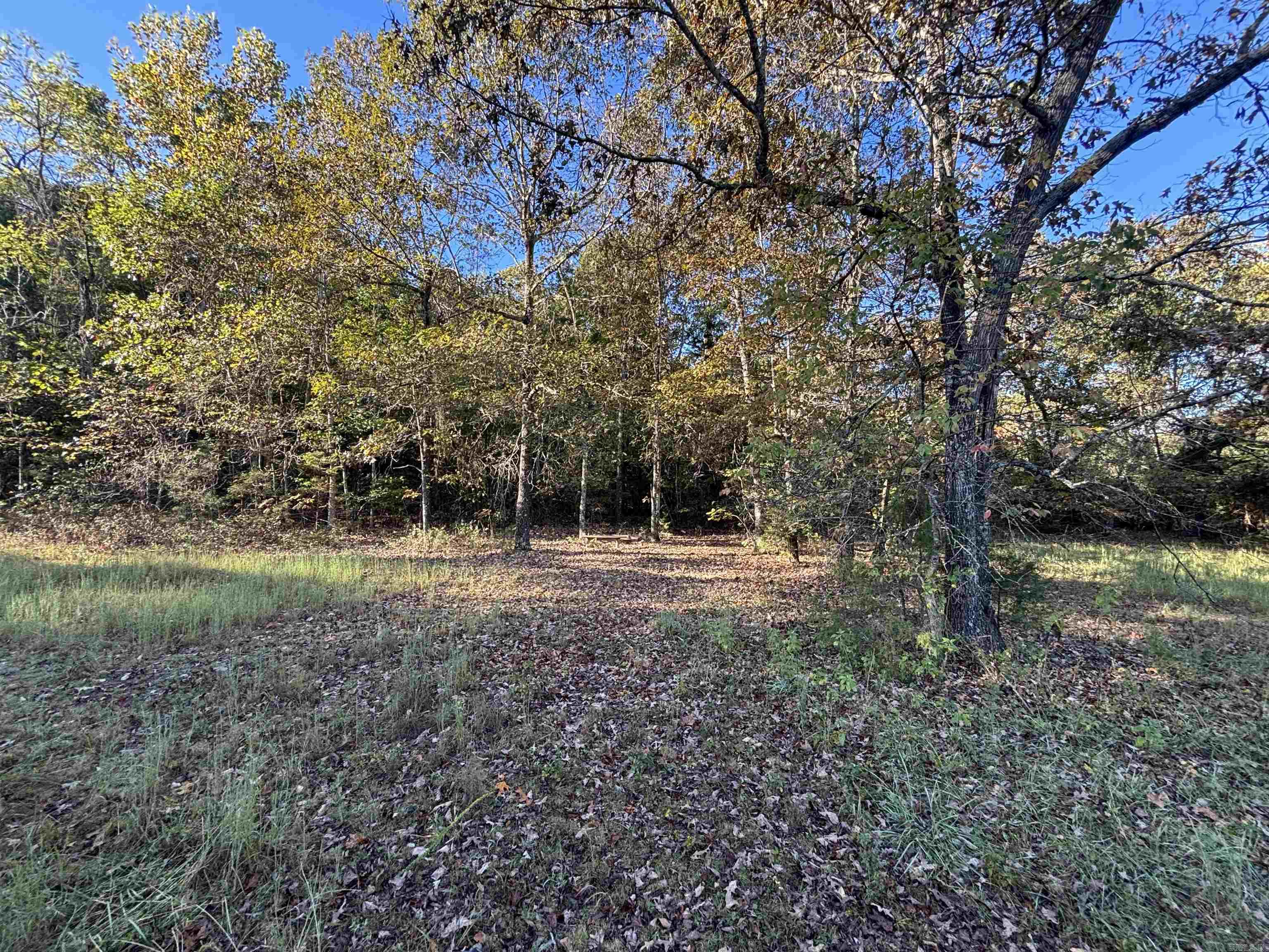 Photo 4 - Vacant Land for sale – 000  Timbercrest Road   Viola, AR
