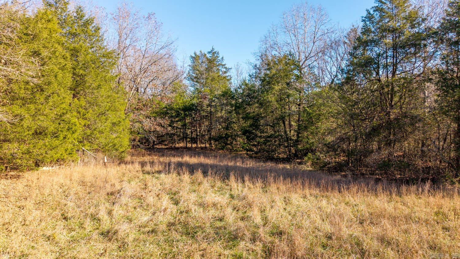 Photo 5 - Vacant Land for sale – 000  Timbercrest Road   Viola, AR