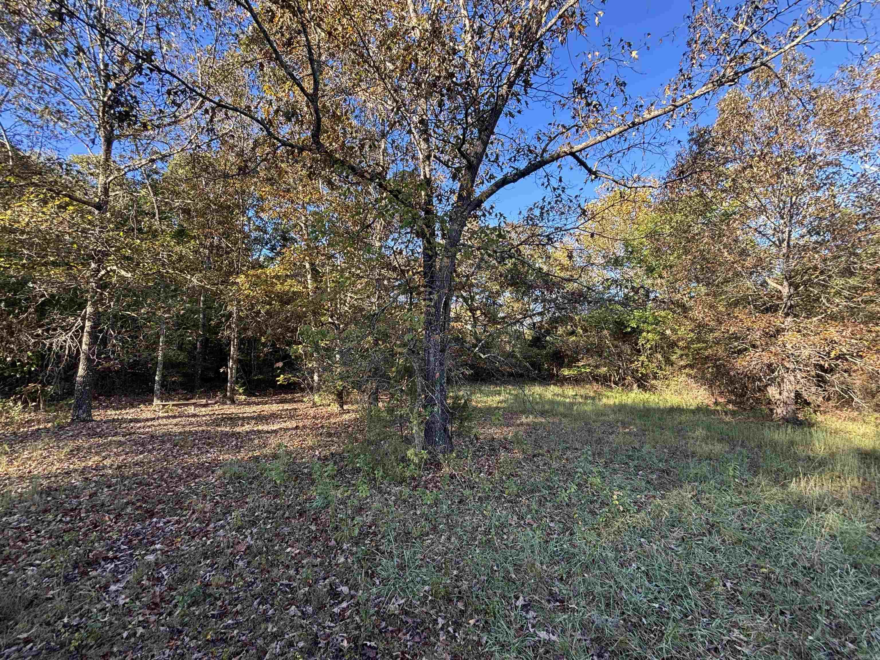 Photo 5 - Vacant Land for sale – 000  Timbercrest Road   Viola, AR