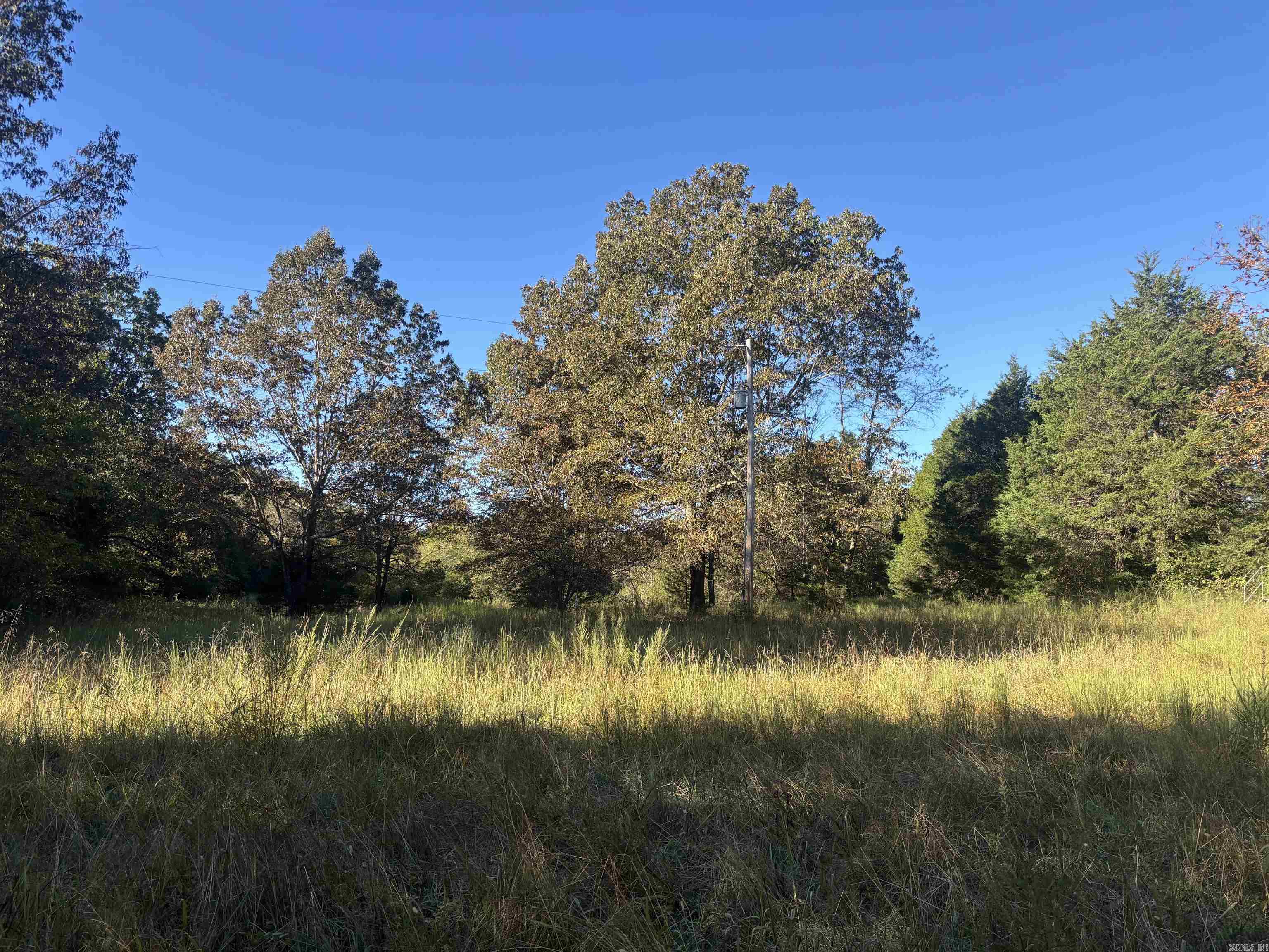Photo 6 - Vacant Land for sale – 000  Timbercrest Road   Viola, AR