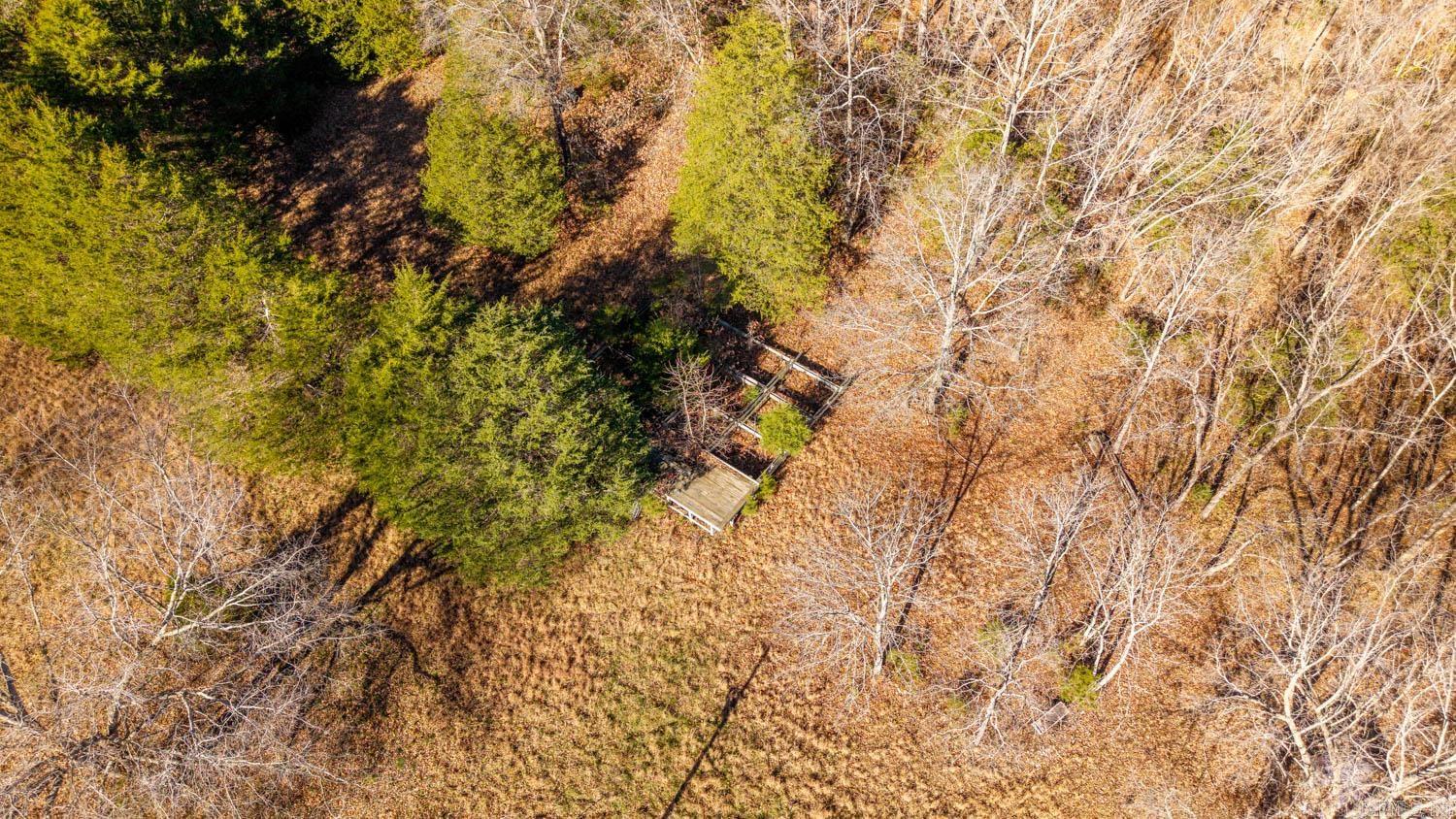 Photo 6 - Vacant Land for sale – 000  Timbercrest Road   Viola, AR