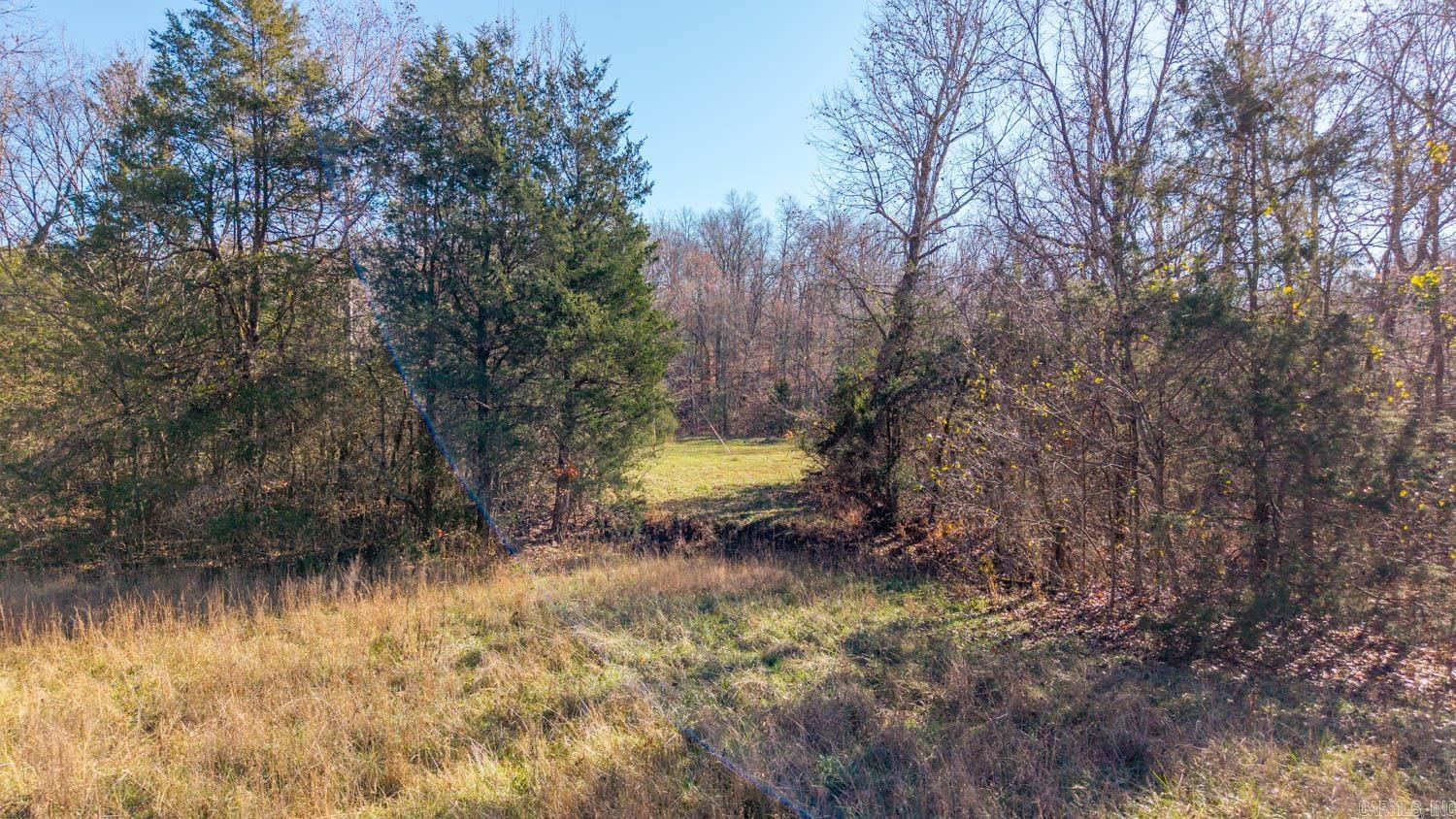 Photo 6 - Vacant Land for sale – 000  Timbercrest Road   Viola, AR