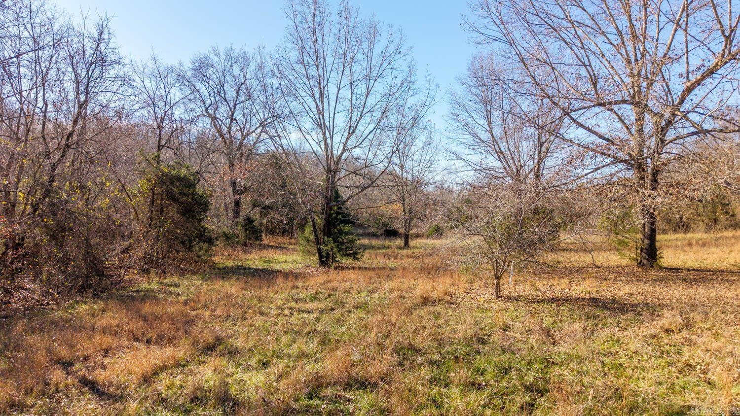 Photo 7 - Vacant Land for sale – 000  Timbercrest Road   Viola, AR