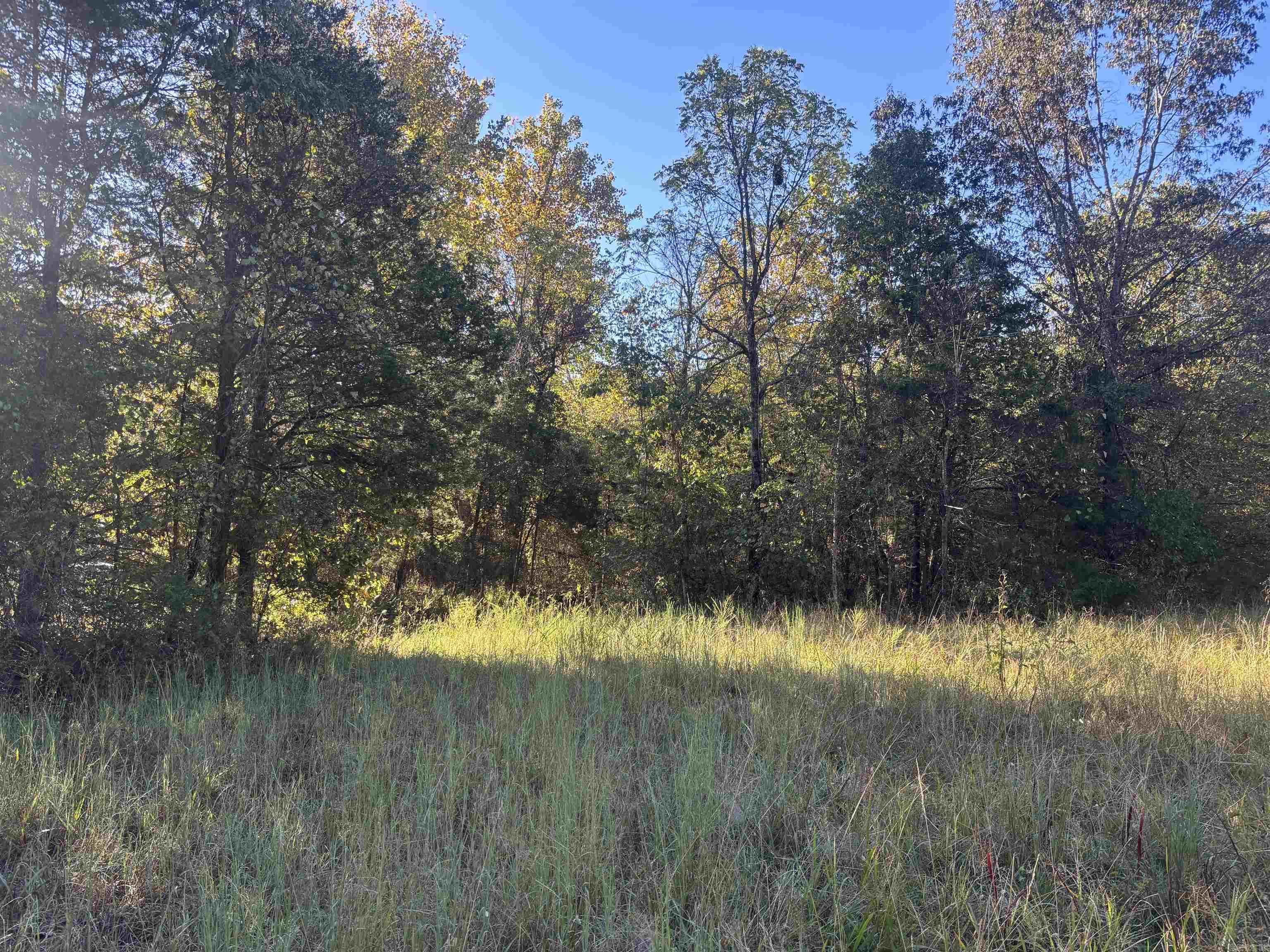 Photo 7 - Vacant Land for sale – 000  Timbercrest Road   Viola, AR