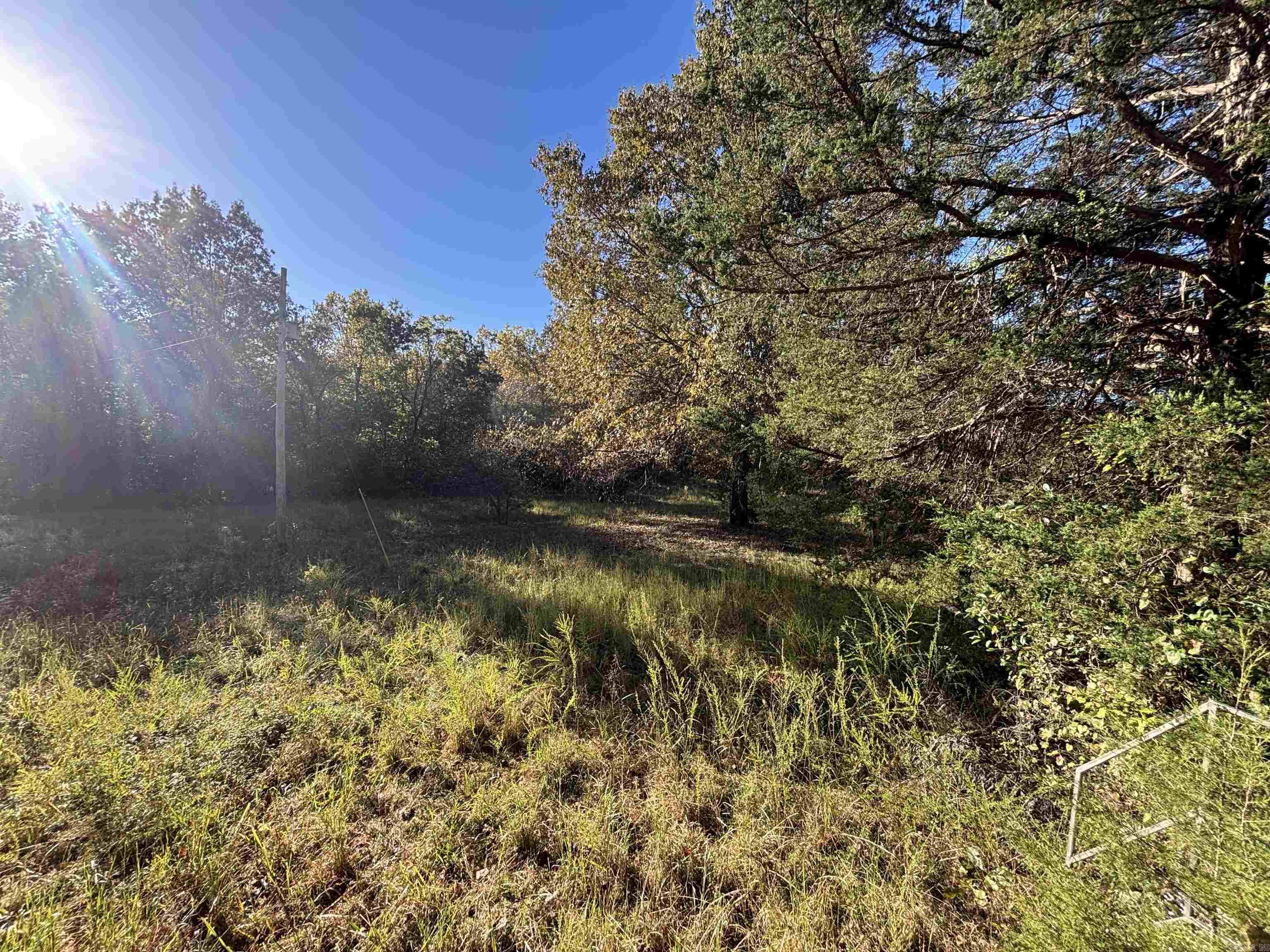 Photo 8 - Vacant Land for sale – 000  Timbercrest Road   Viola, AR